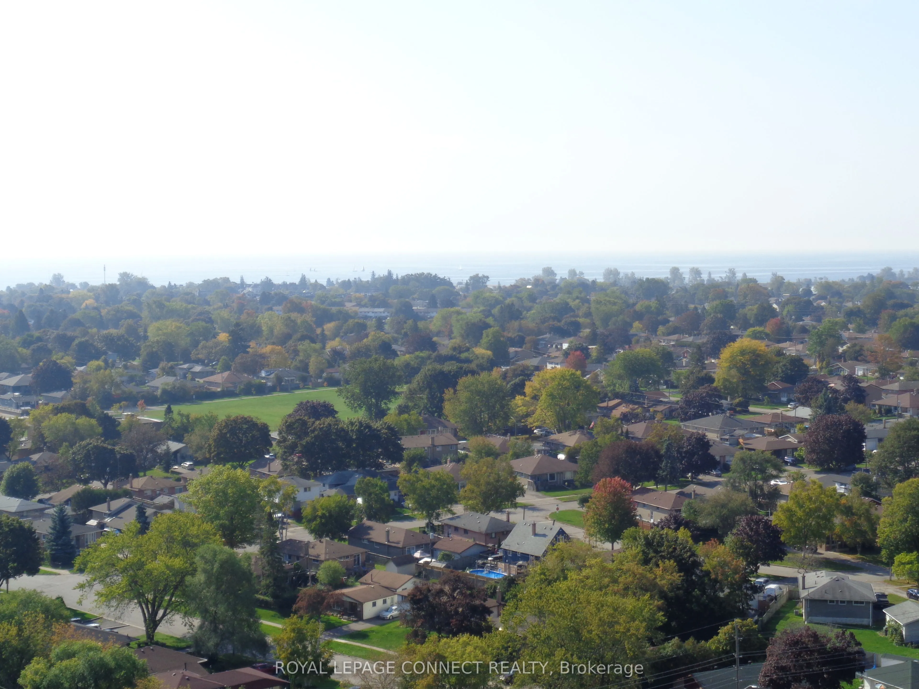1435 Celebration Drive, #1802