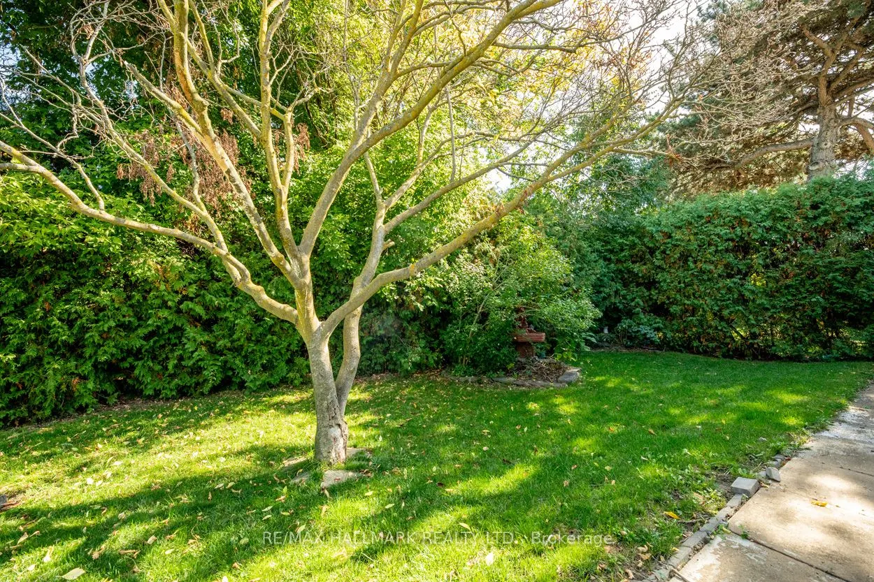 55 Wexford Boulevard