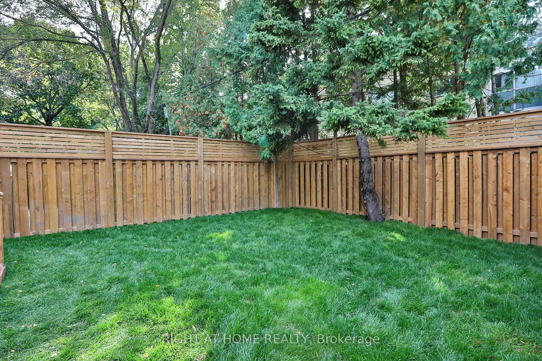 60 Winnifred Avenue