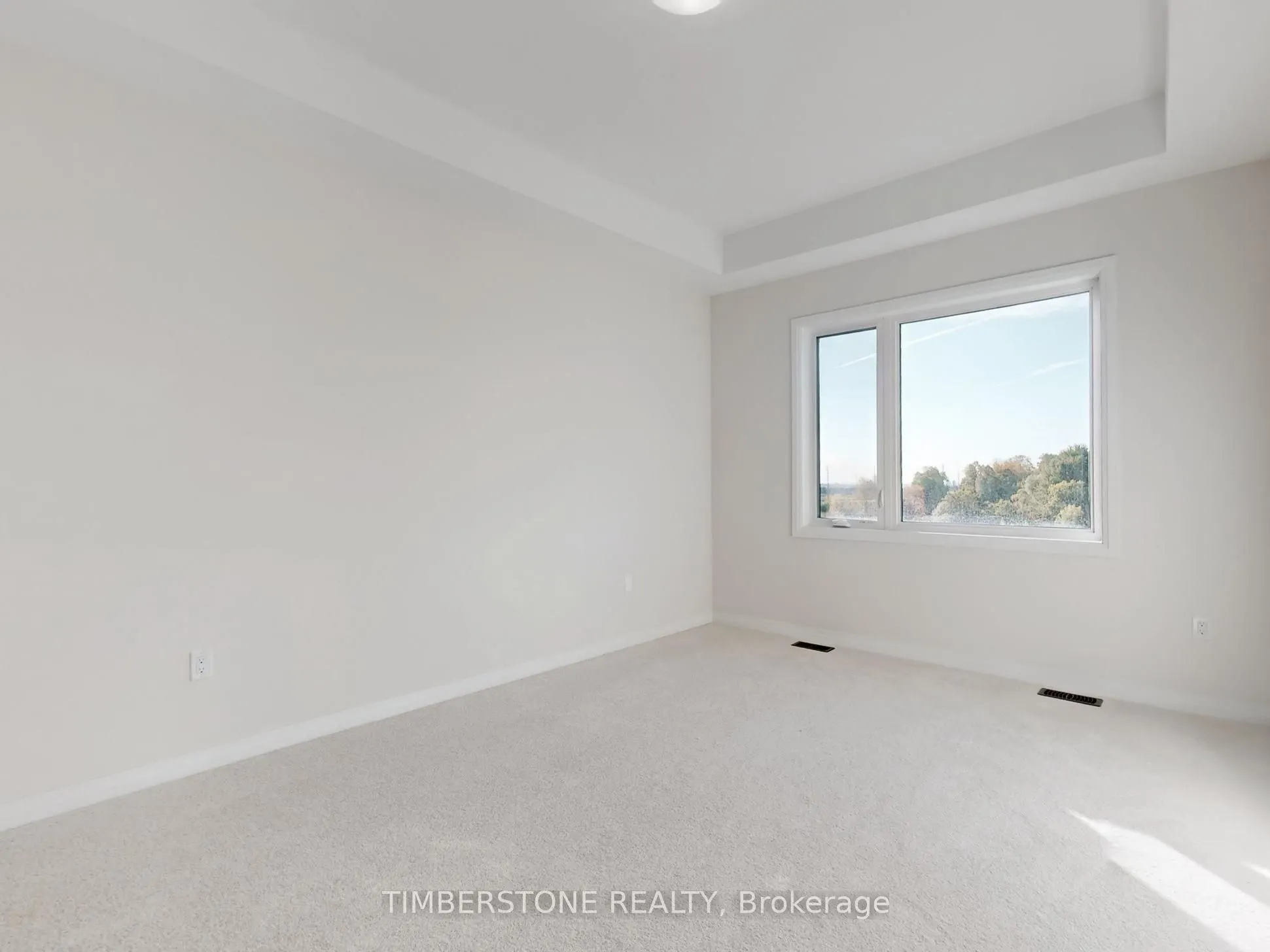 1119 Zircon Manor