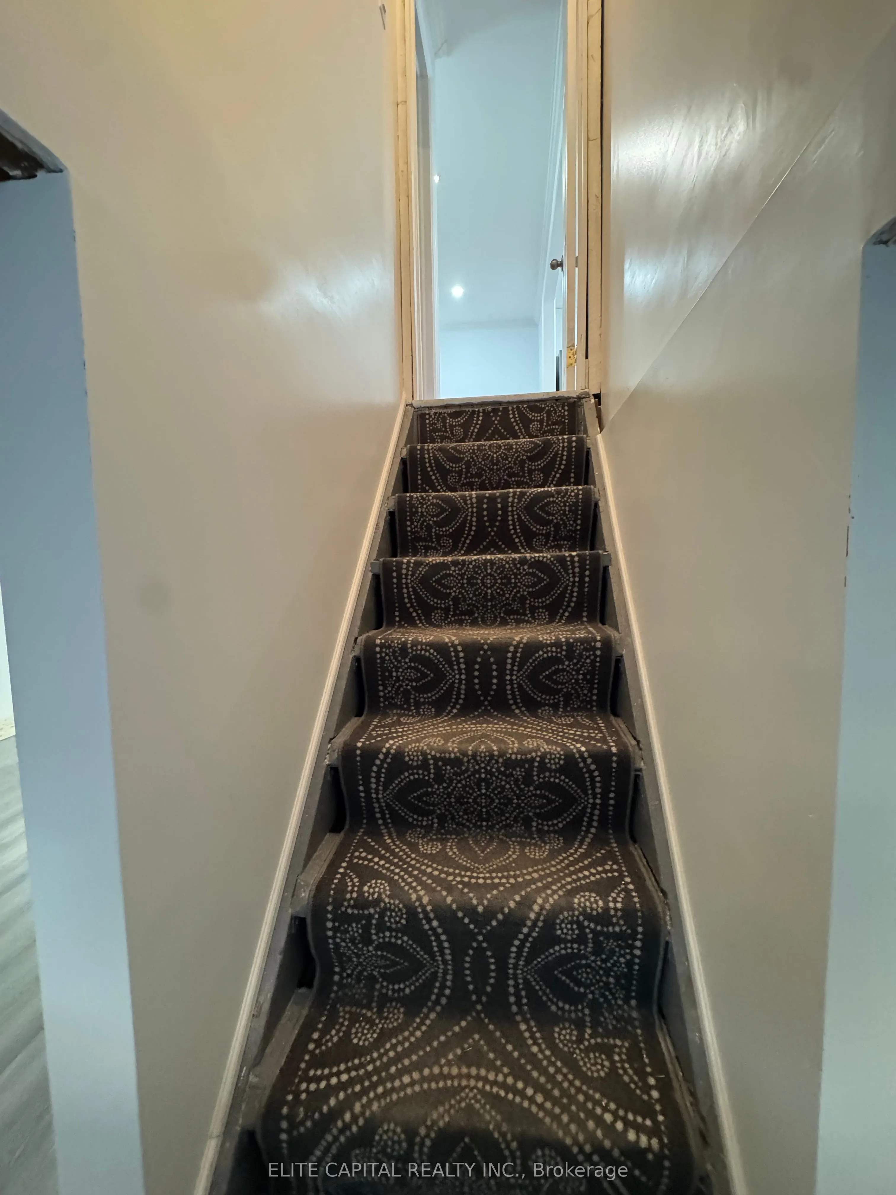 282 Haig Street