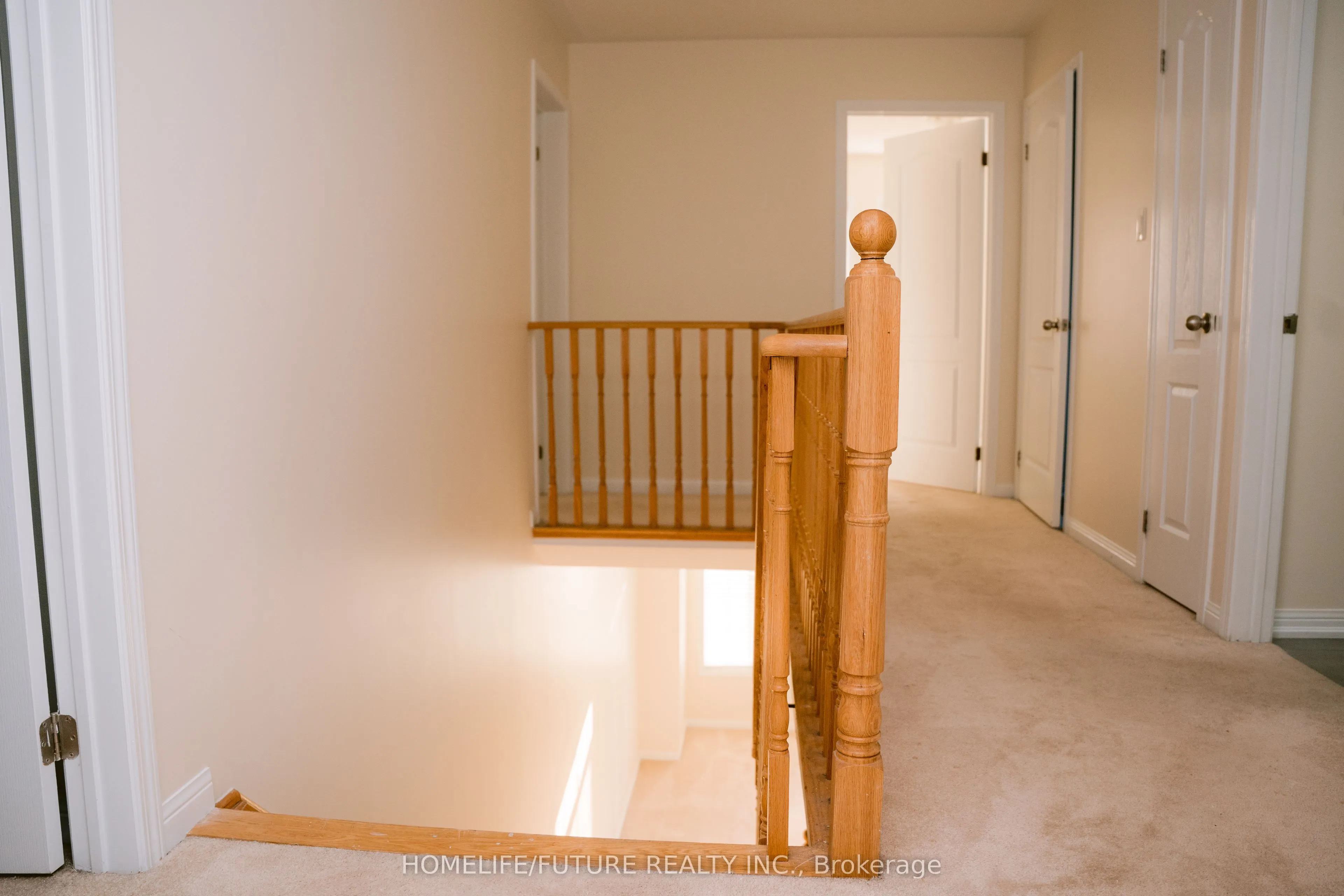 1 Mcclustey Avenue