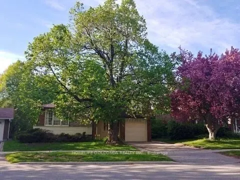 40 Ravencliff Crescent, #Basement
