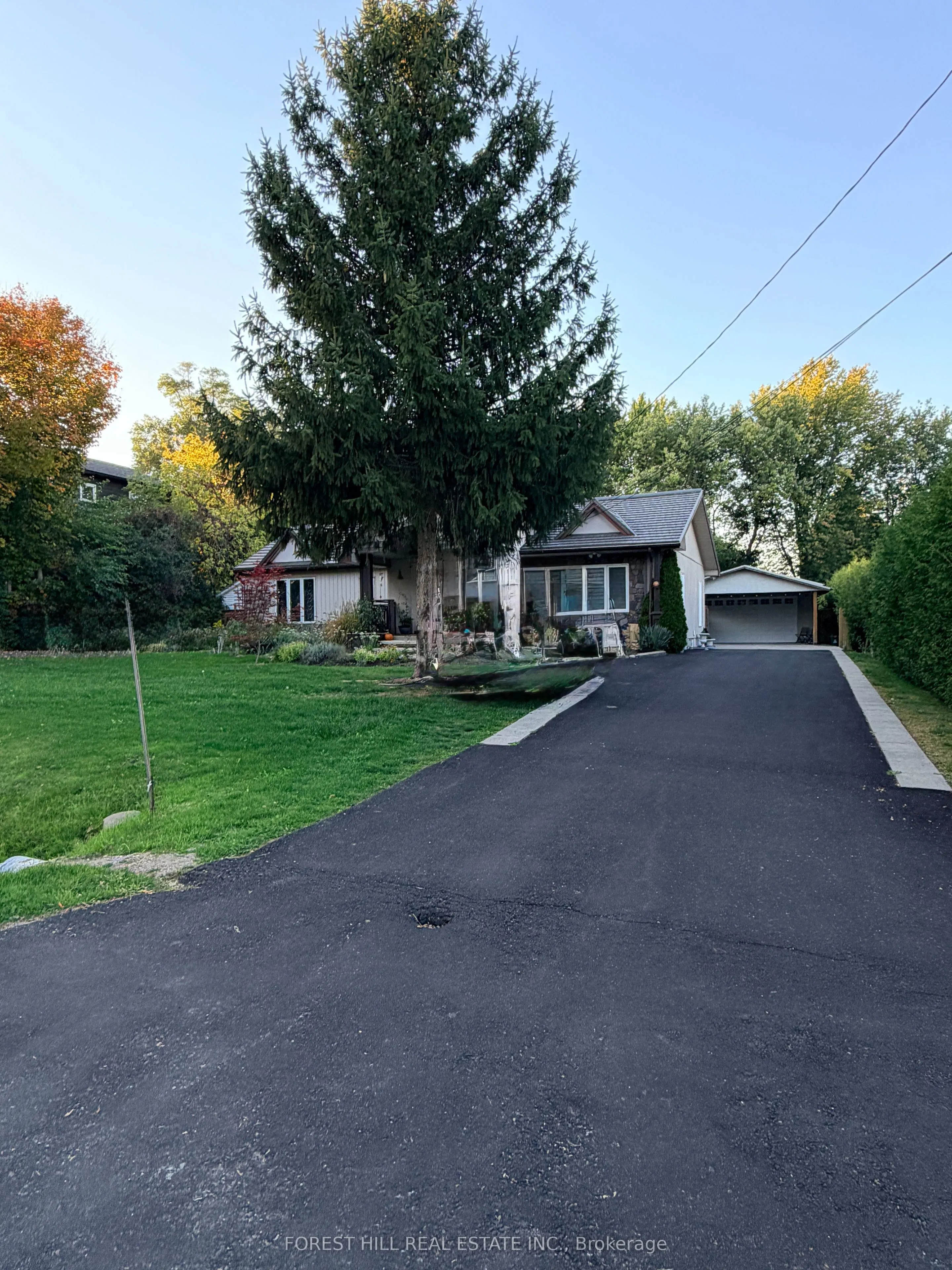 240 Martins Street, #B1