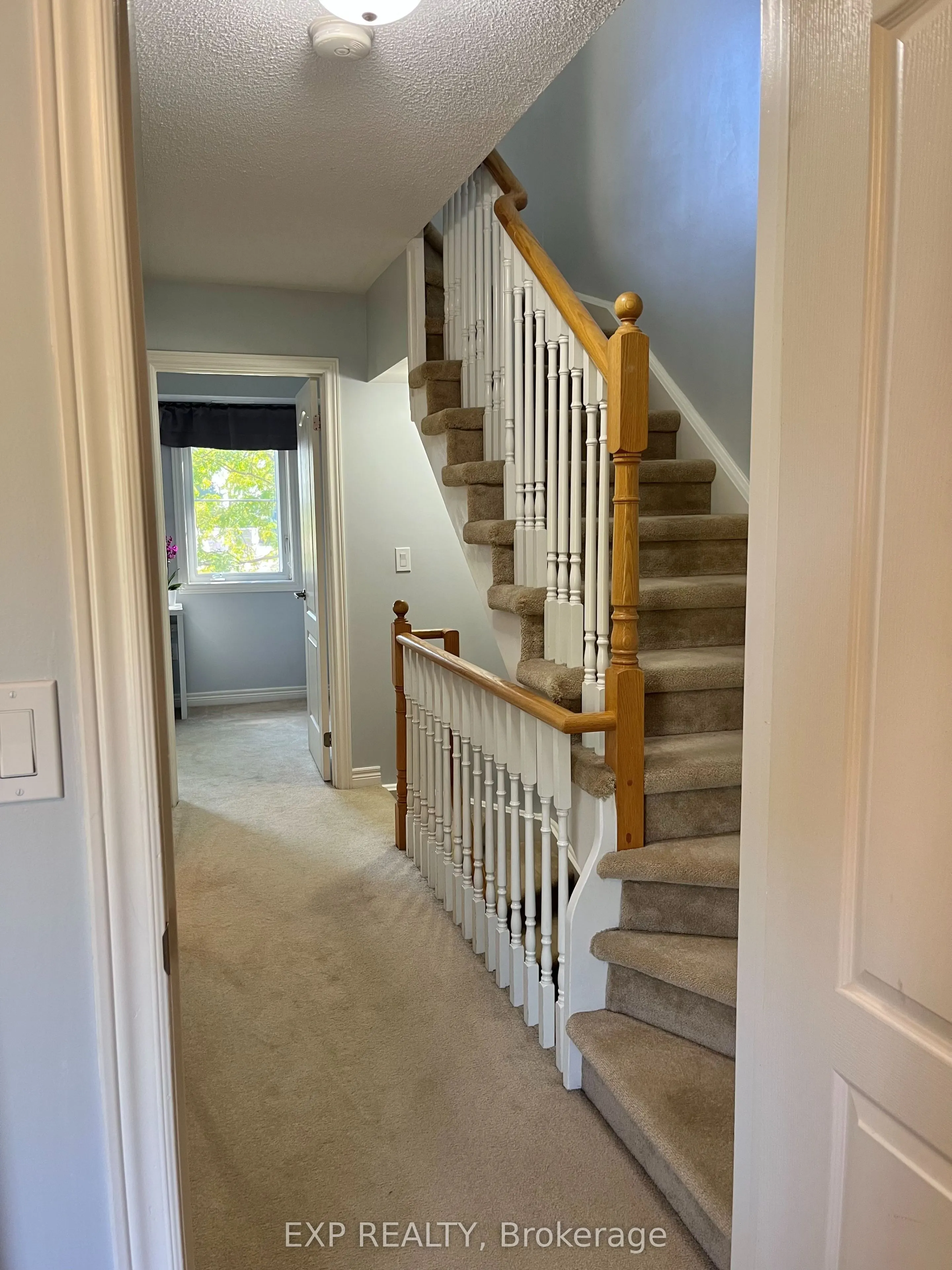 17 Montoro Lane
