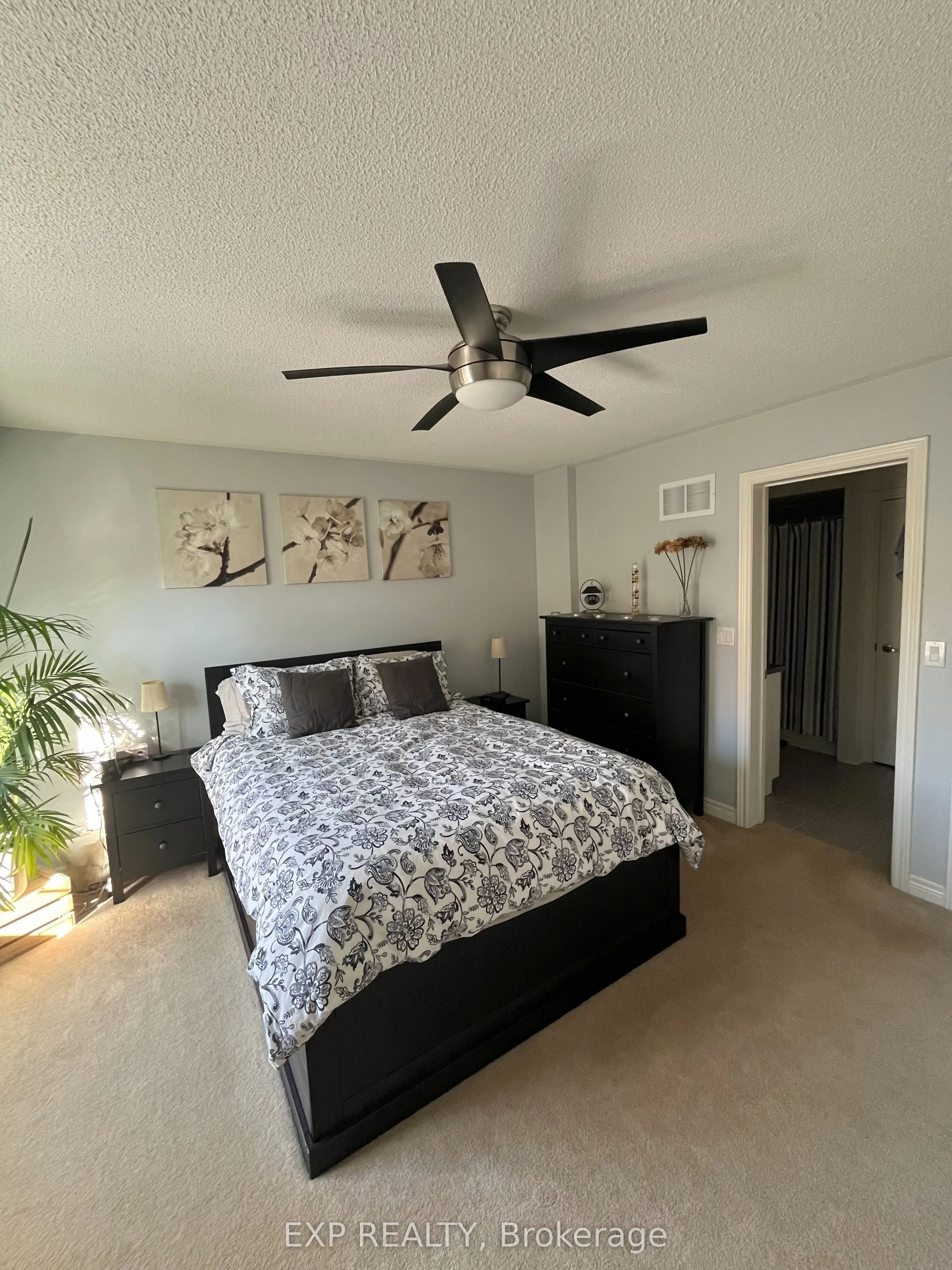 17 Montoro Lane