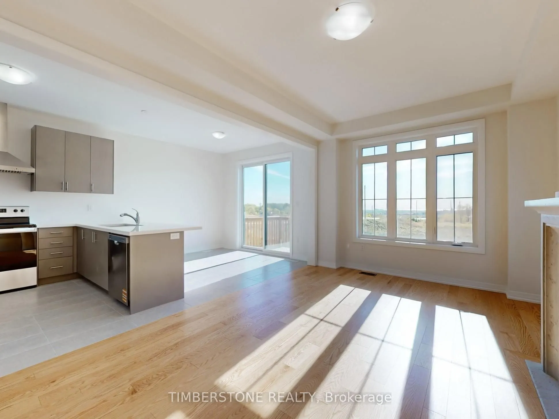 1103 Zircon Manor