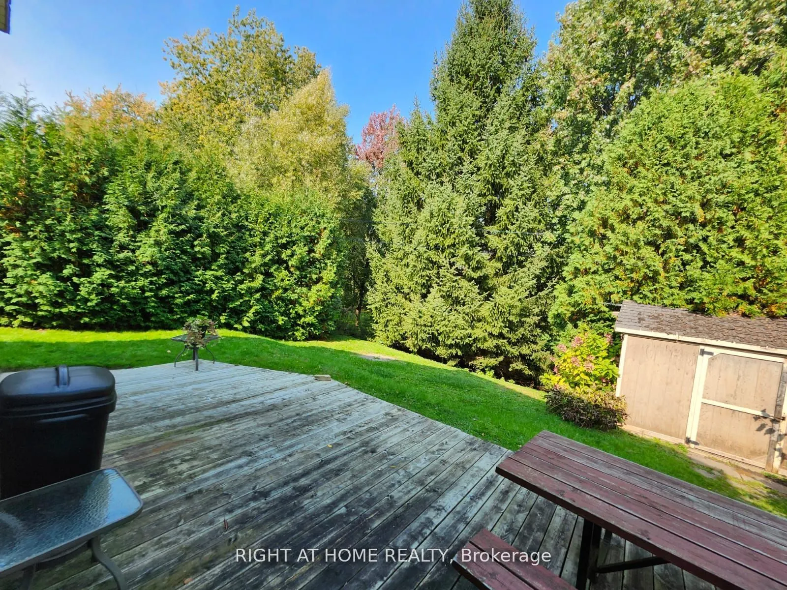 350 Hillcroft Street, #Bsmt