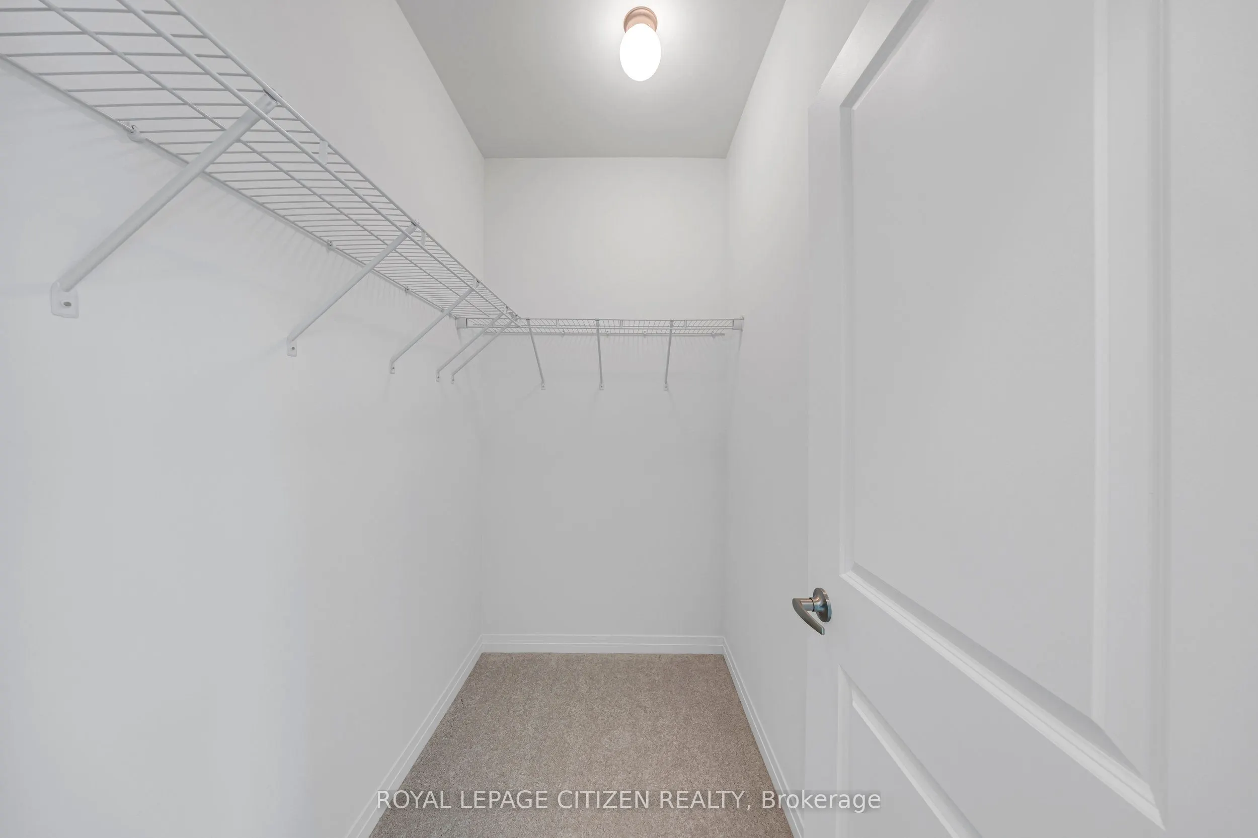 1117 Pisces Trail