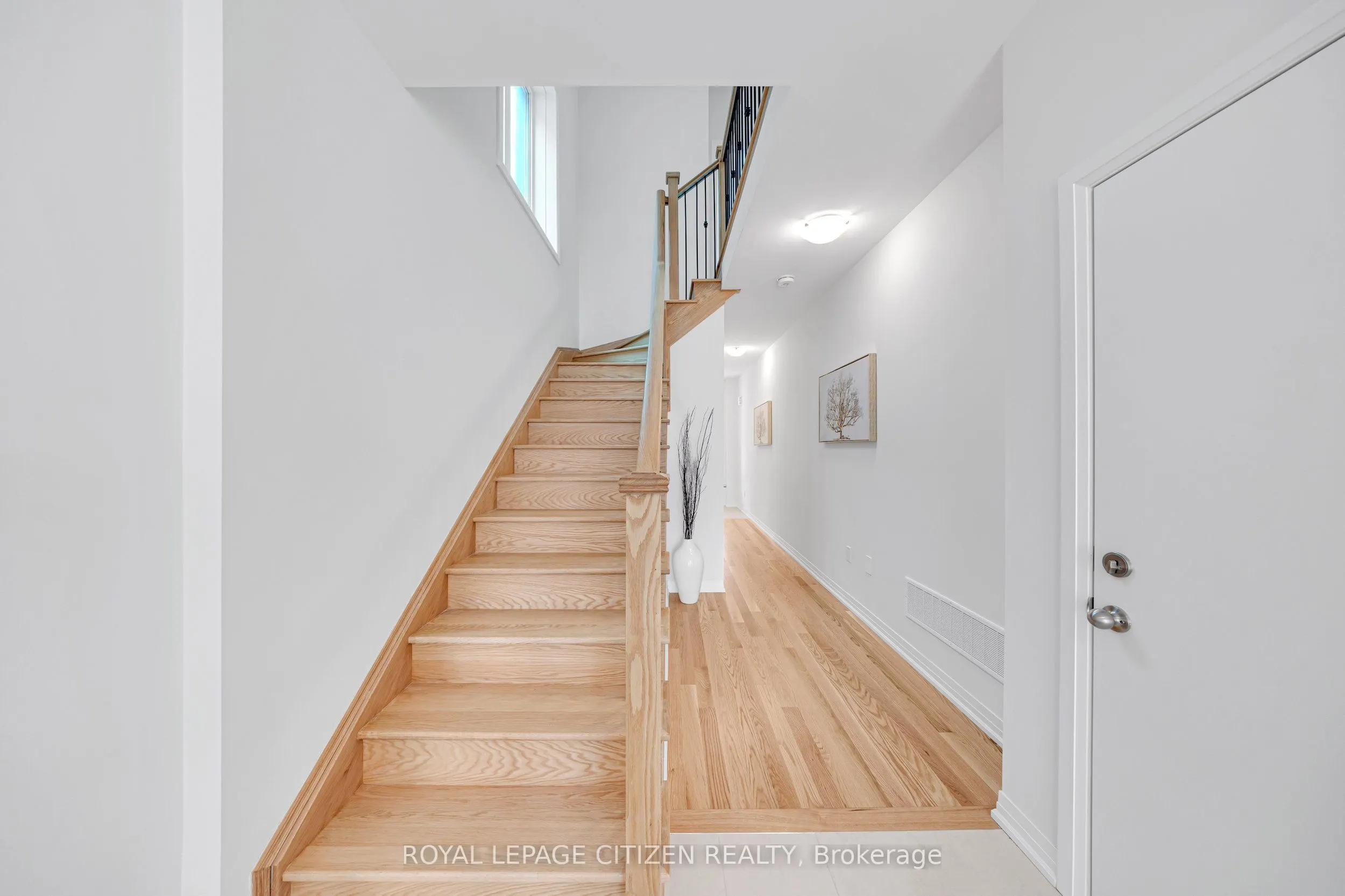 1117 Pisces Trail