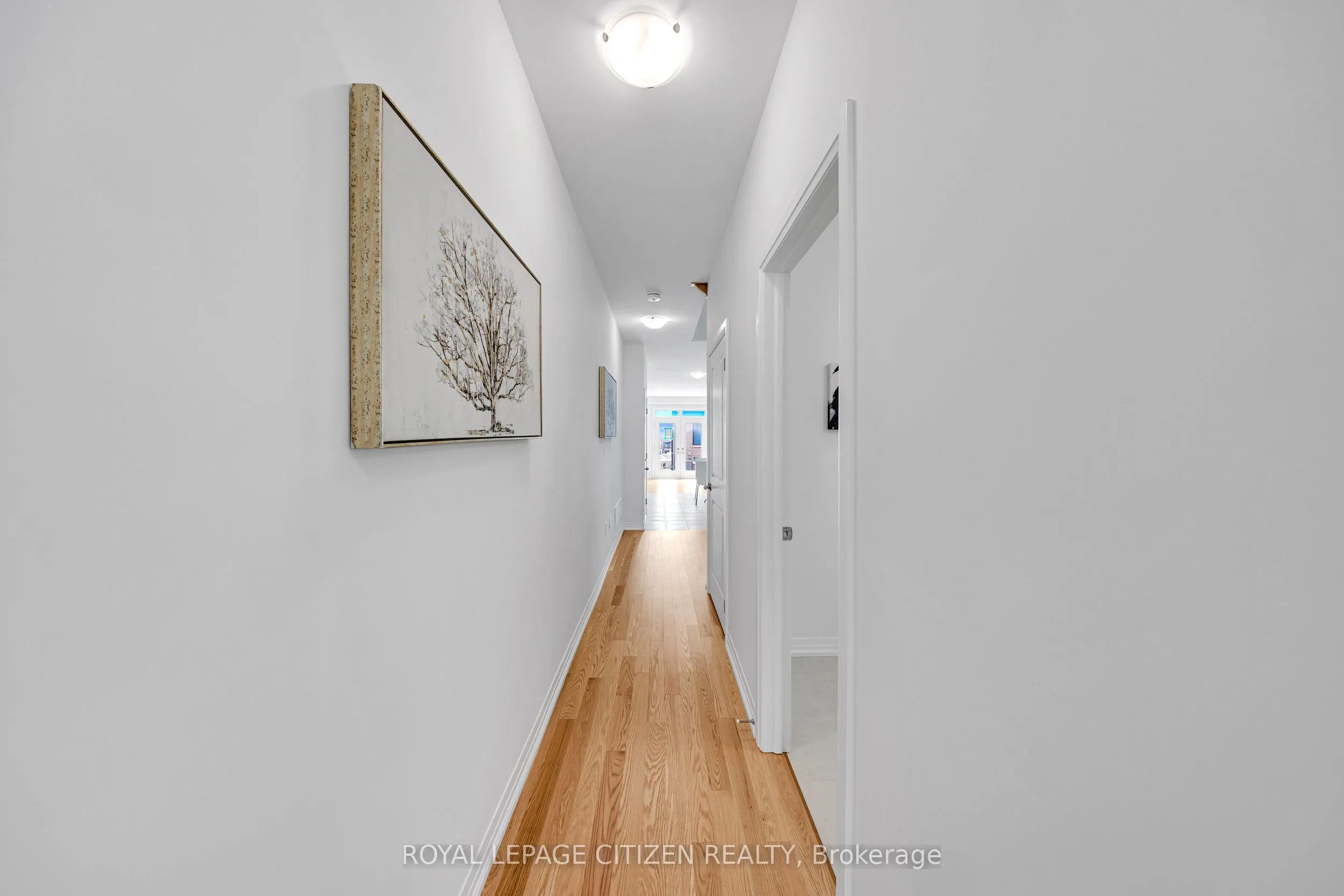 1117 Pisces Trail