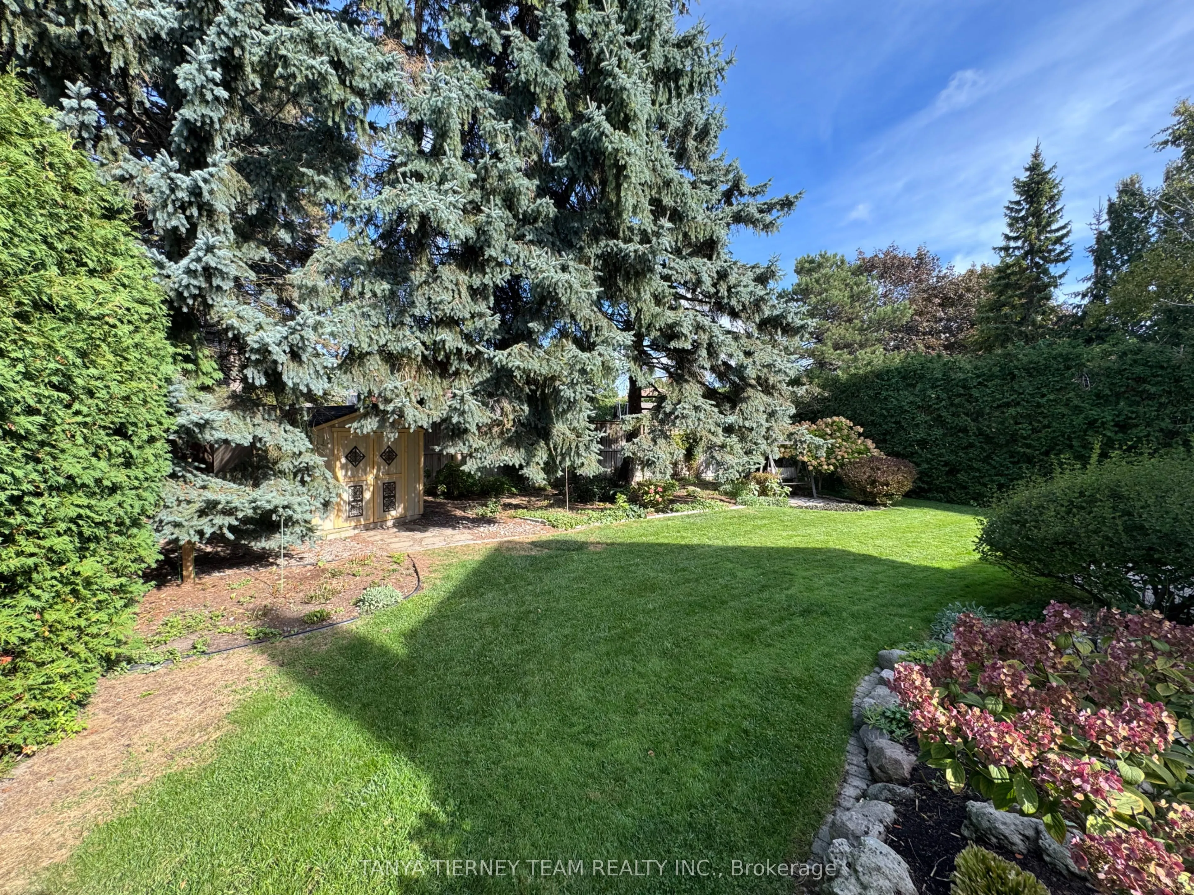 6 Lyndhurst Crescent