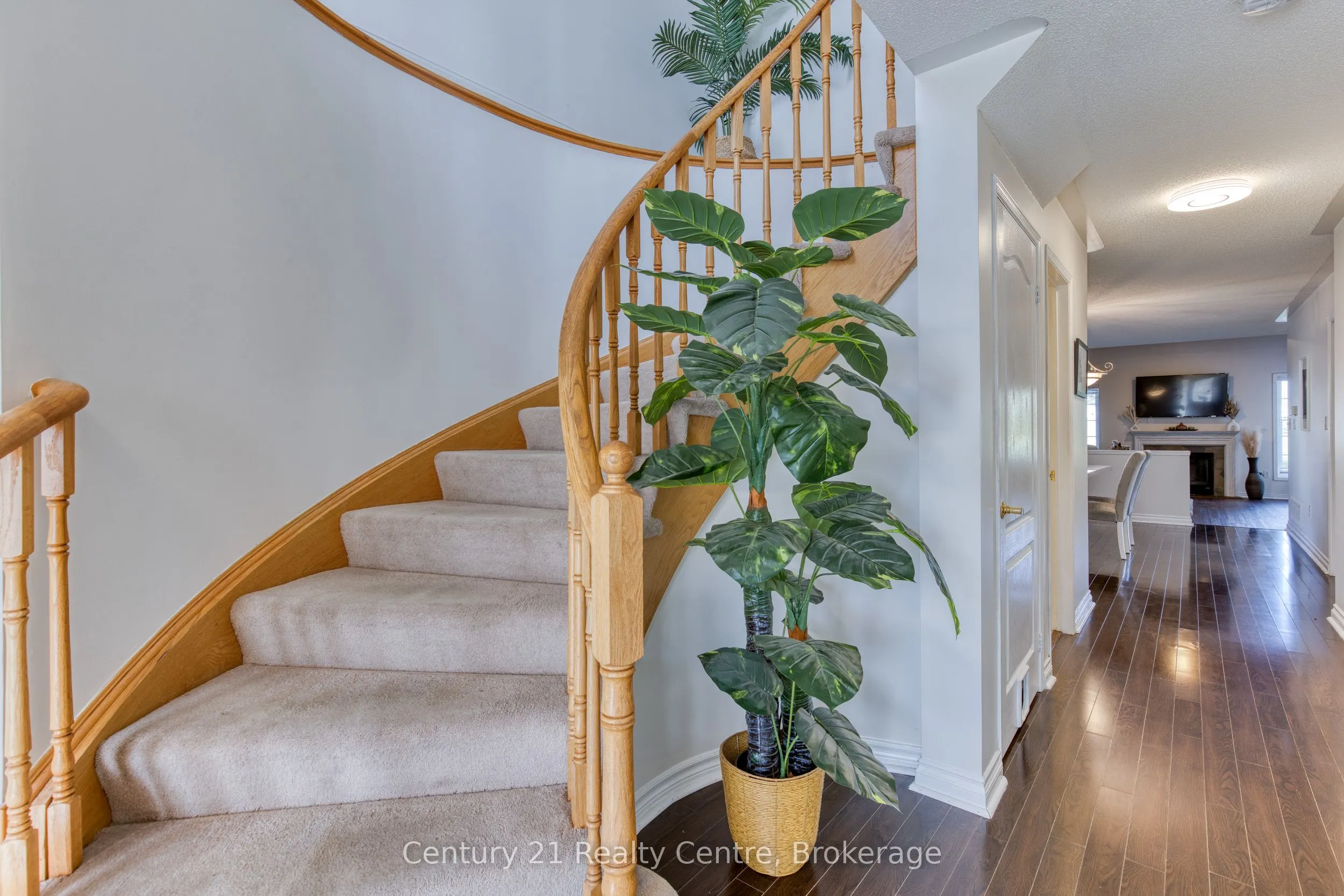 45 Hatch Street E