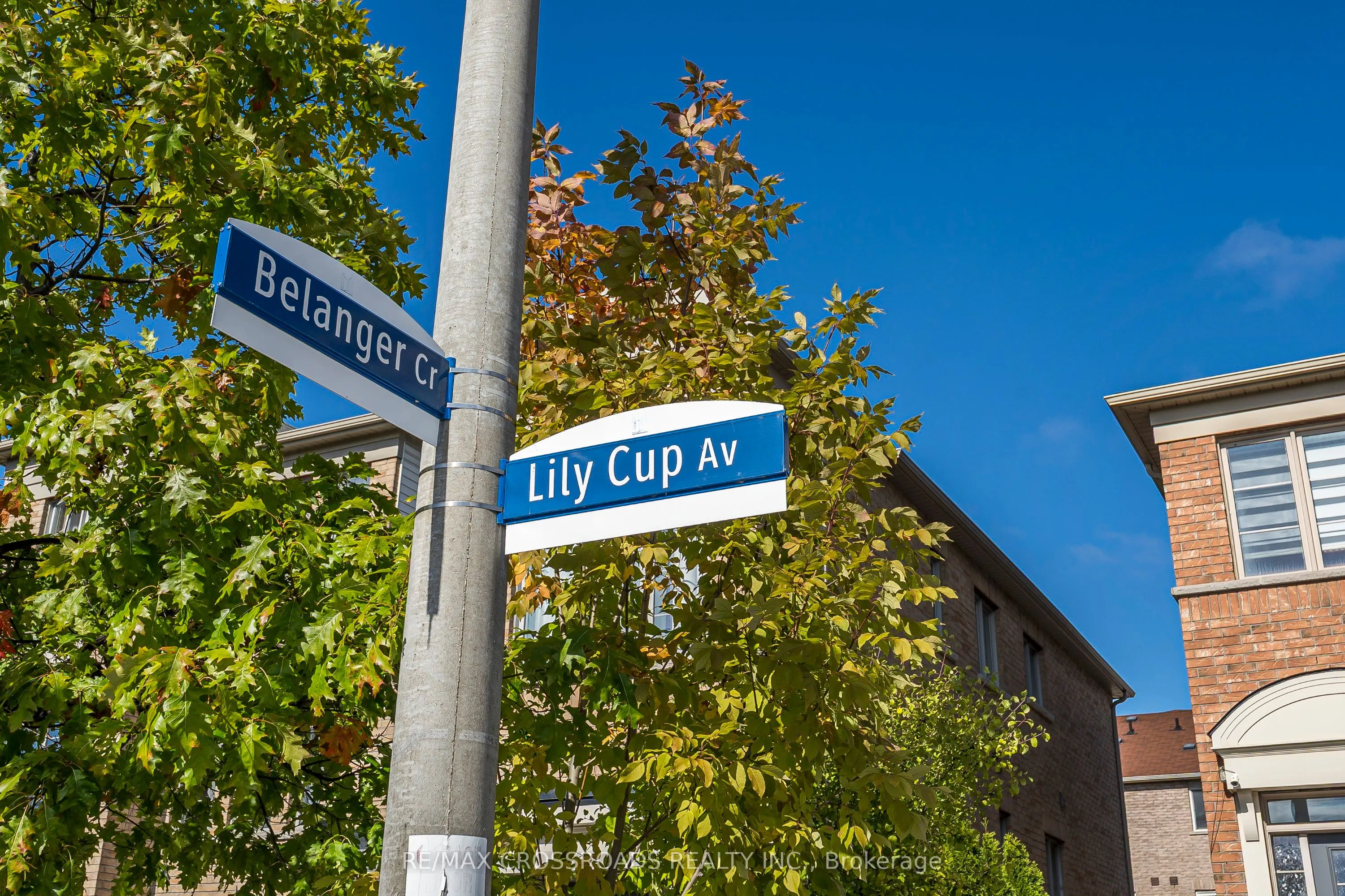 38 Lily Cup Avenue