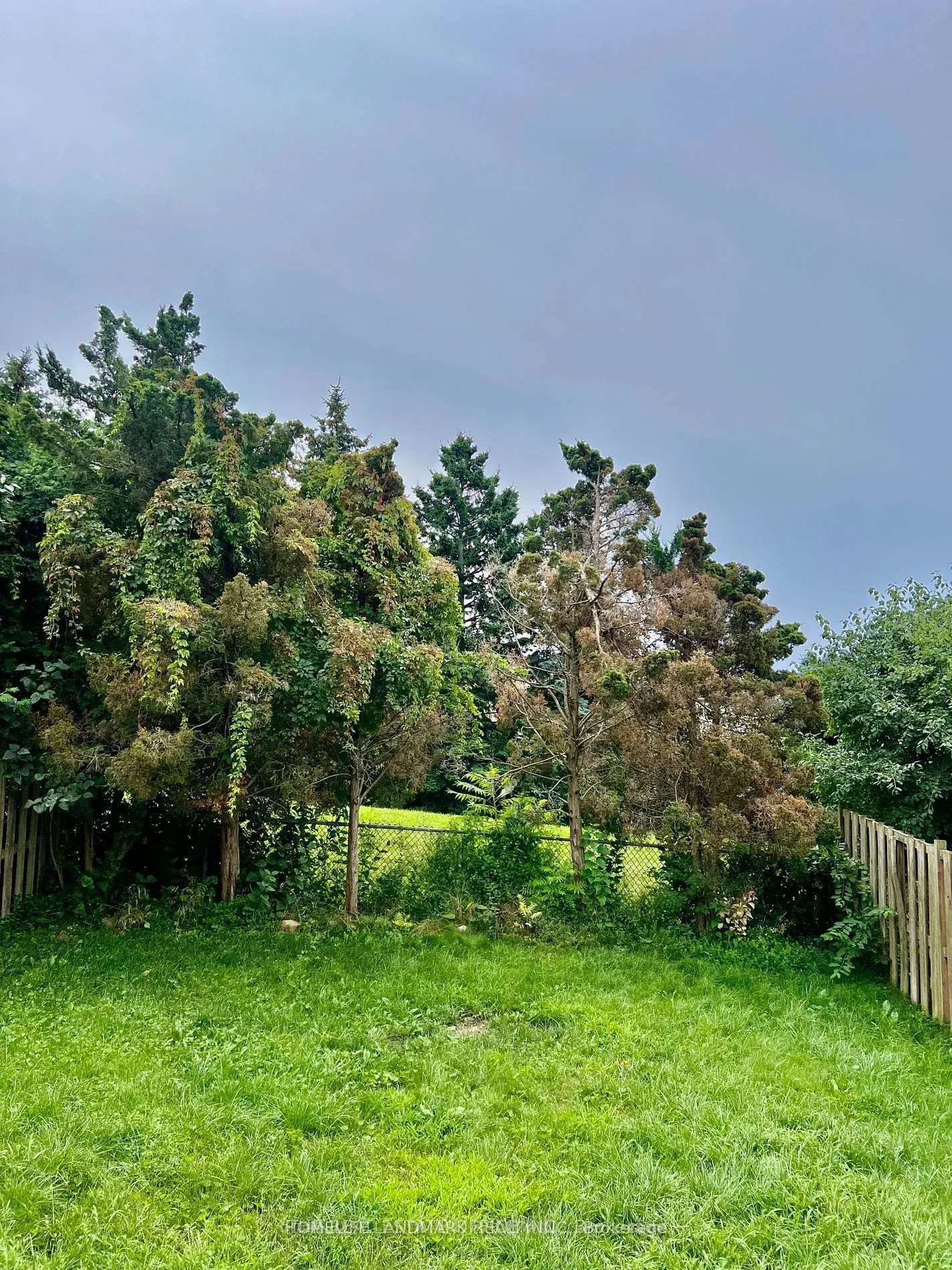 59 Kirby Crescent S