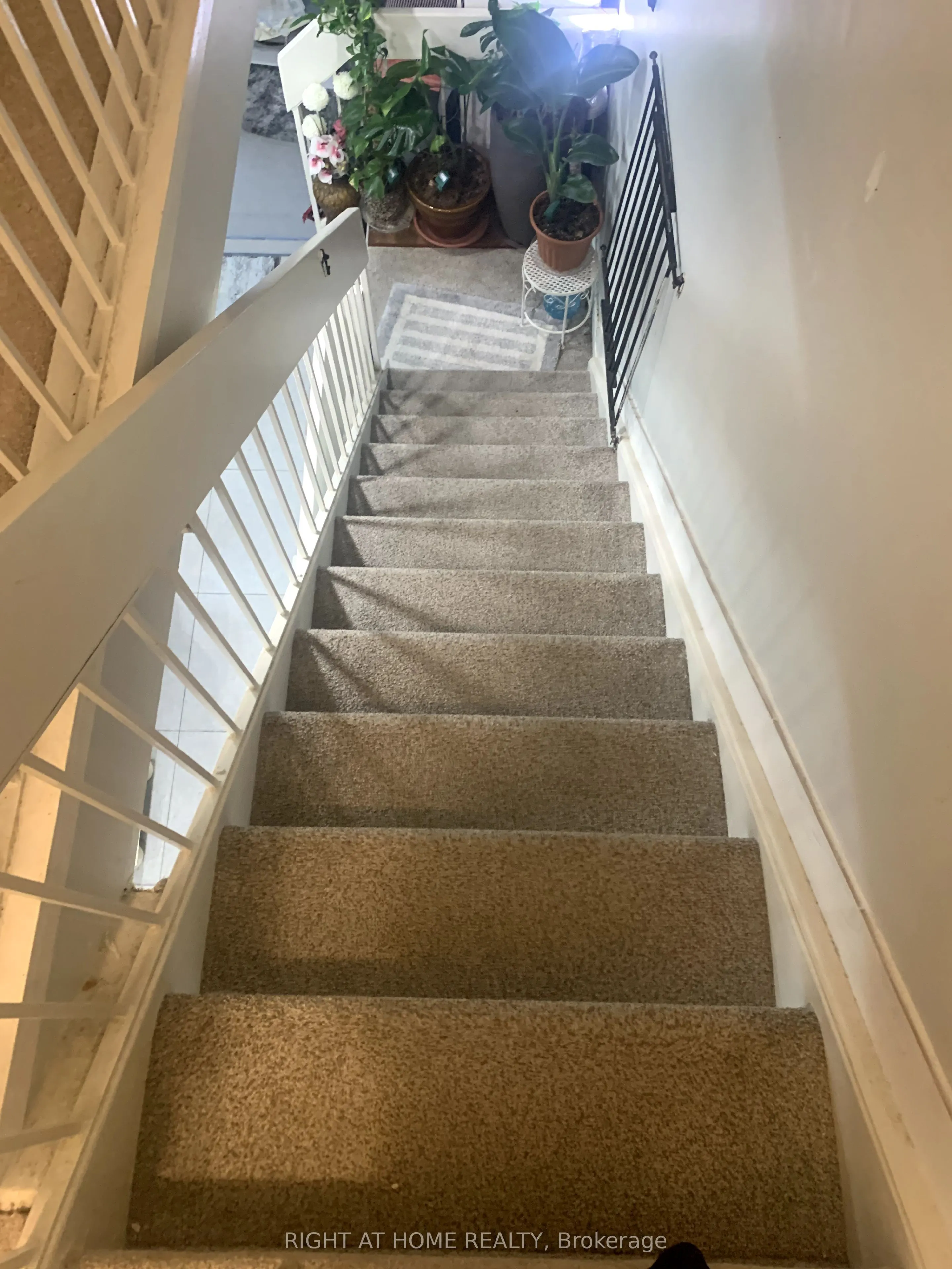 20 HAINFORD Street, #4