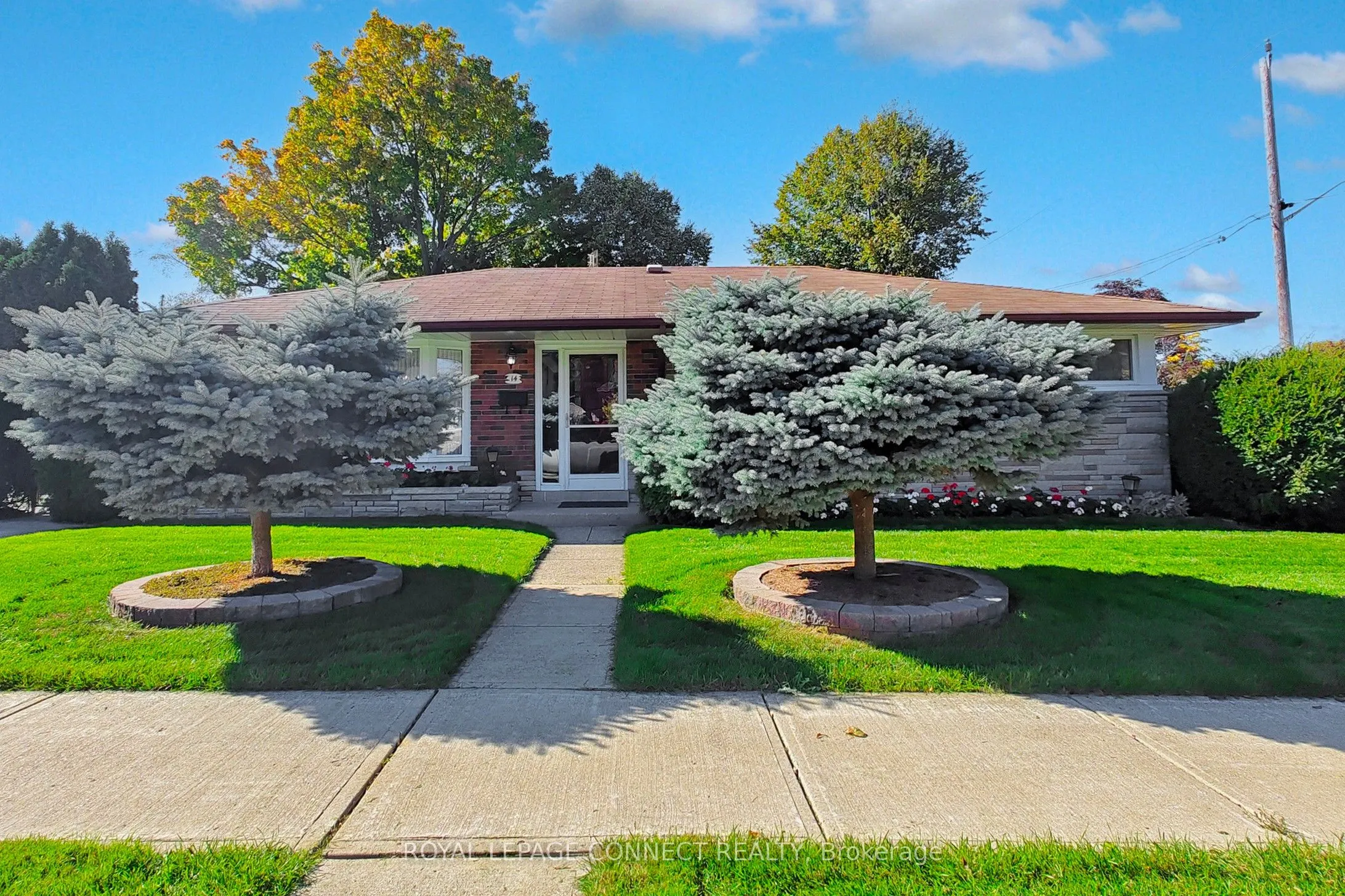 14 Dalehurst Avenue