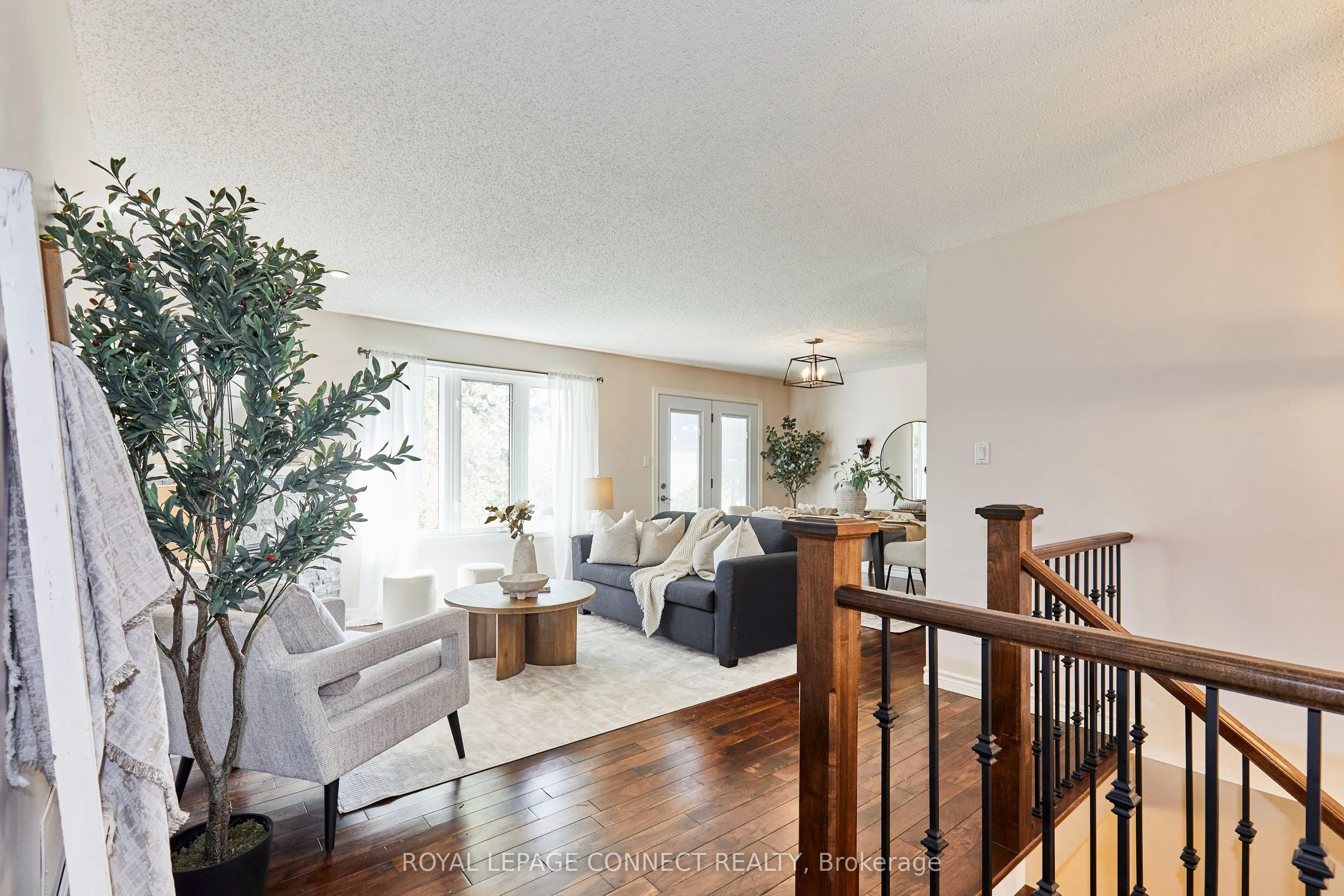 91A Wilmot Trail