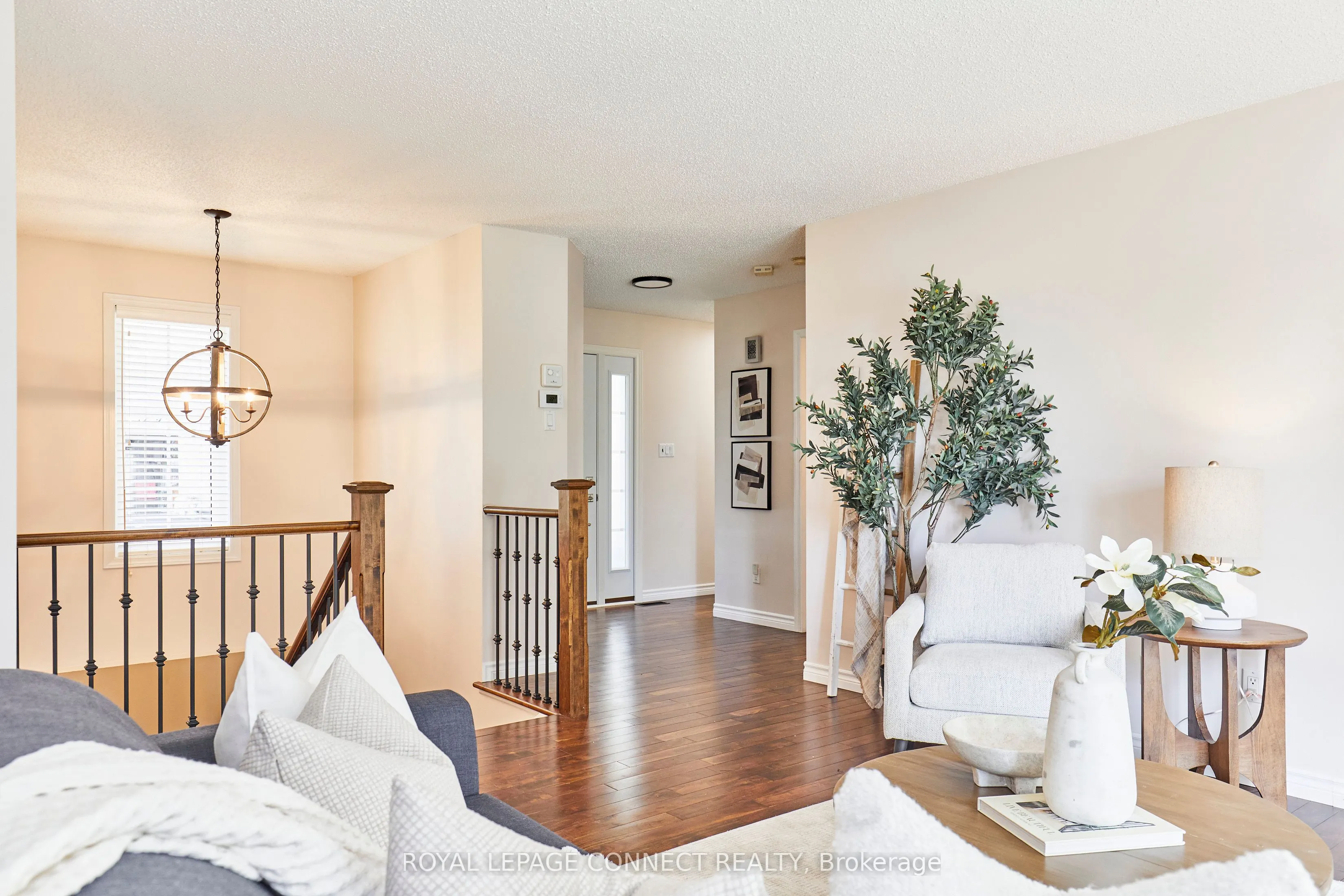 91A Wilmot Trail