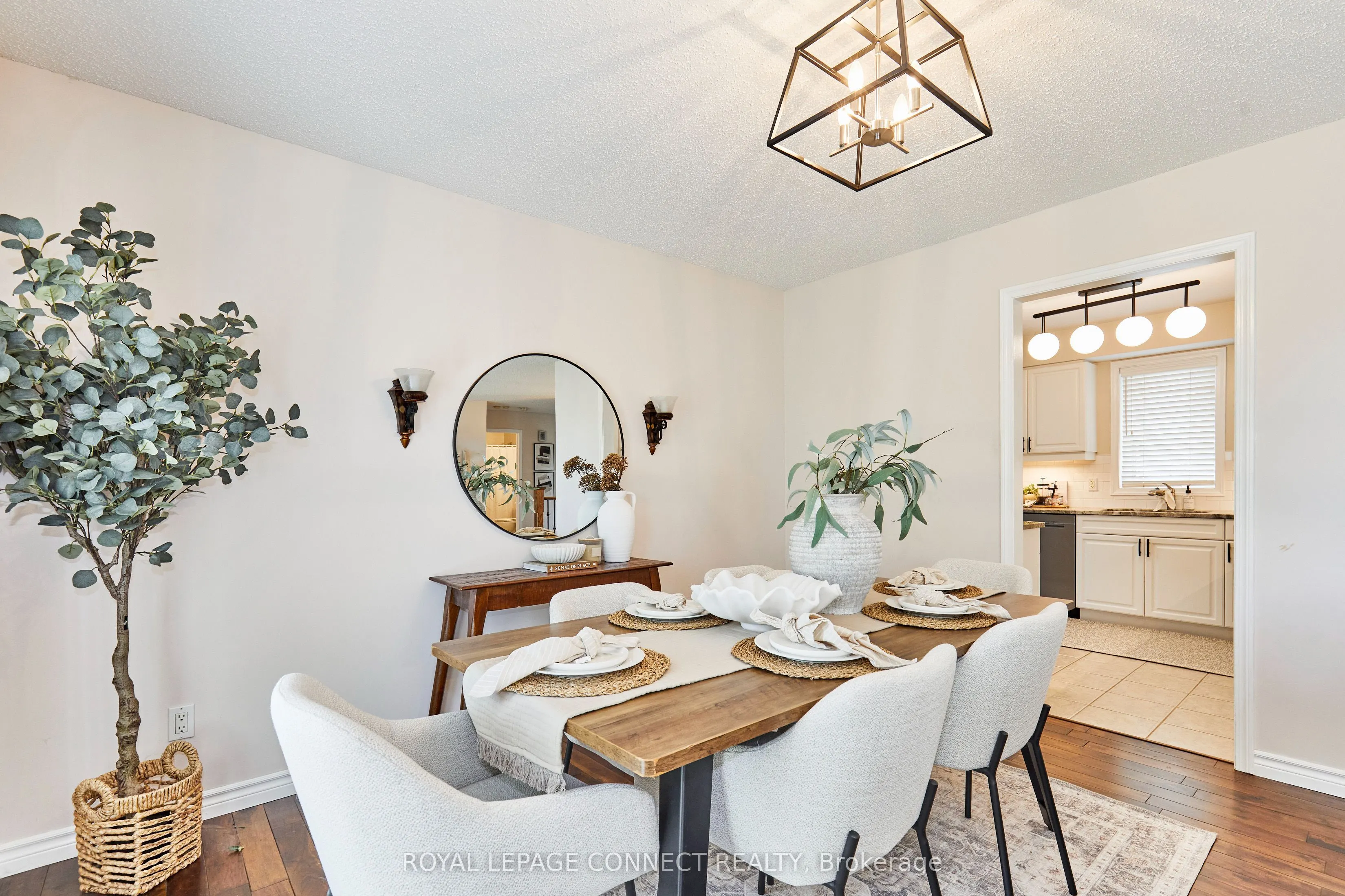 91A Wilmot Trail