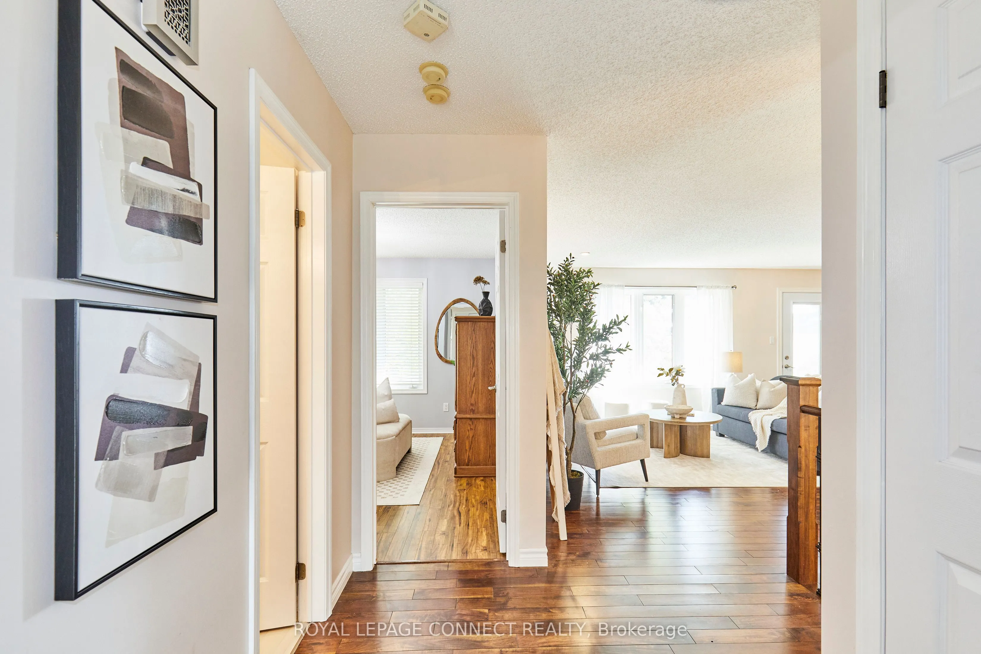91A Wilmot Trail
