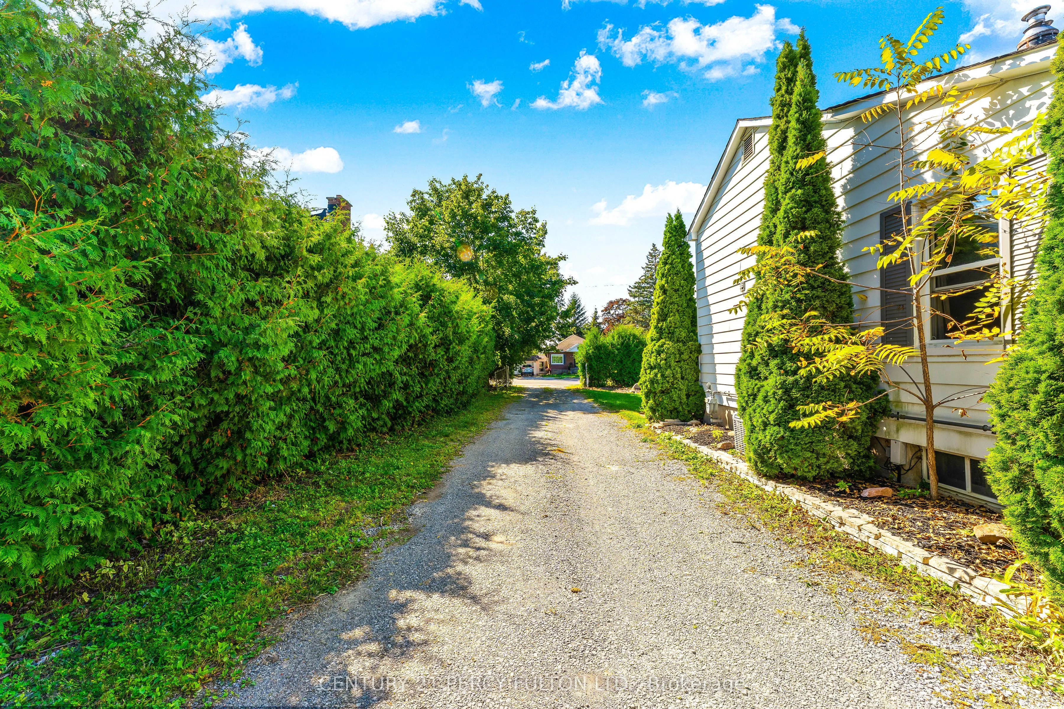 117 Scugog Street