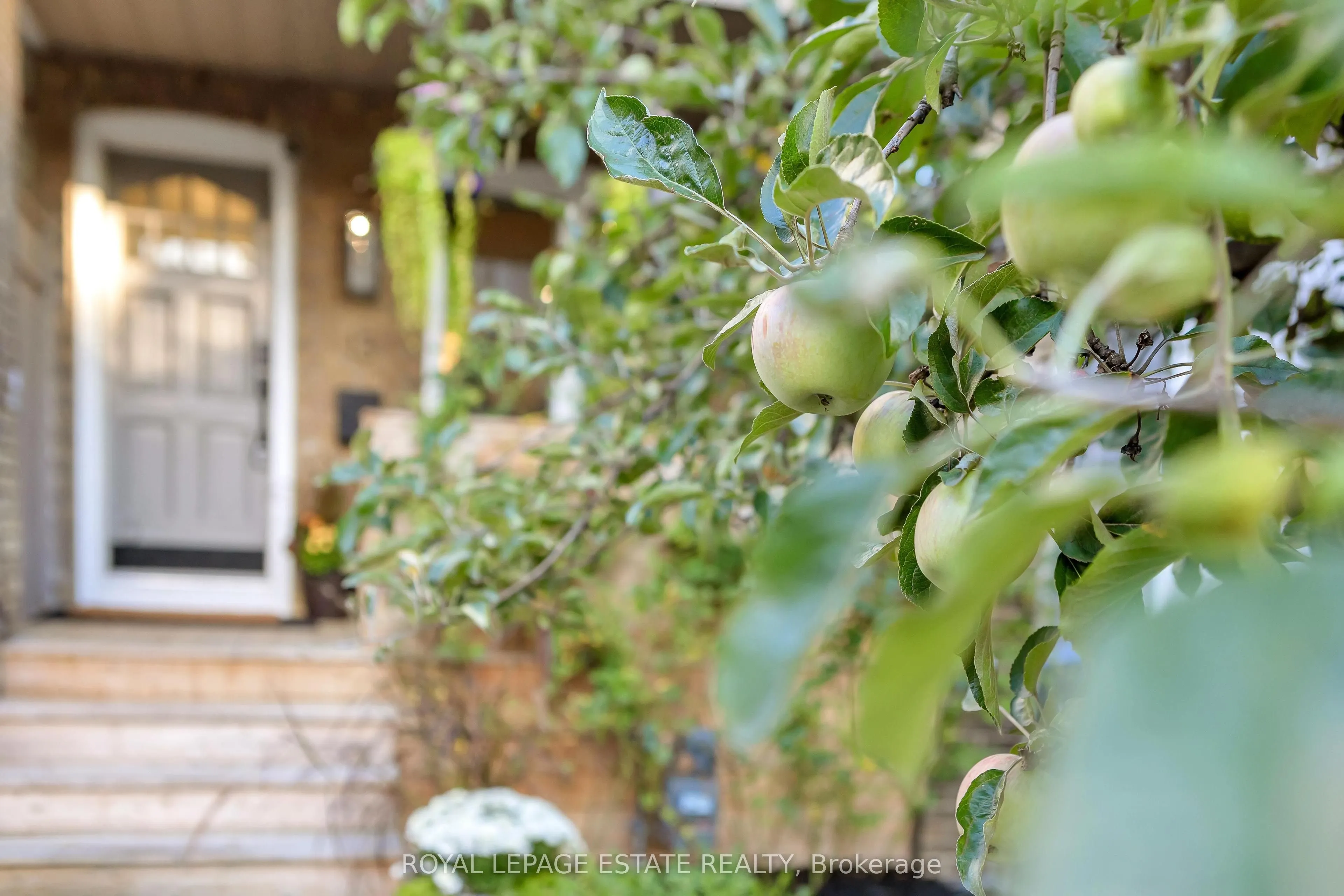 13 Eastdale Avenue