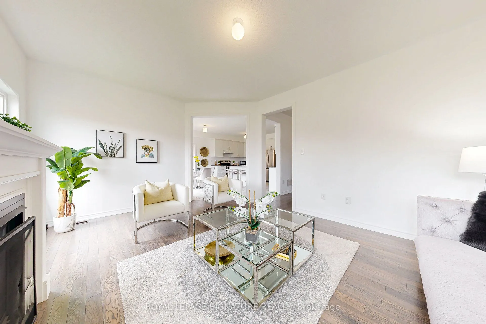 137 Elephant Hill Drive