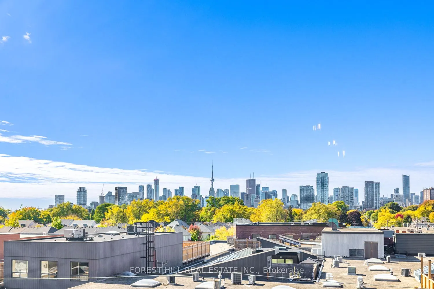 319 Carlaw Avenue, #607