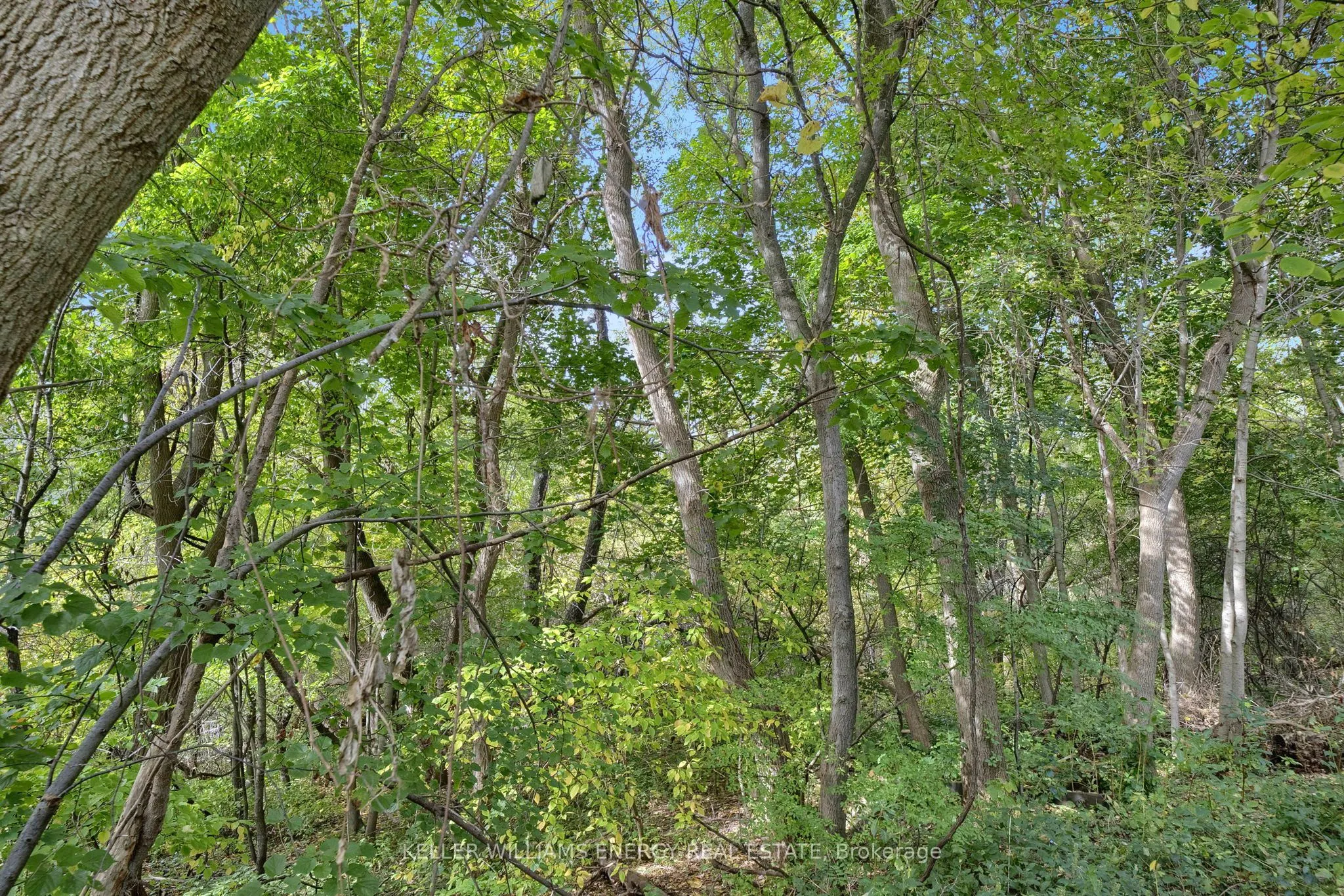 518 Camelot Drive