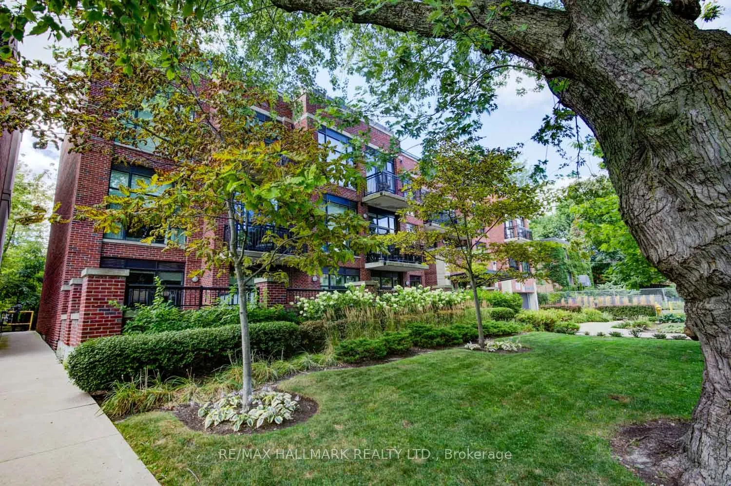 66 Kippendavie Avenue, #313