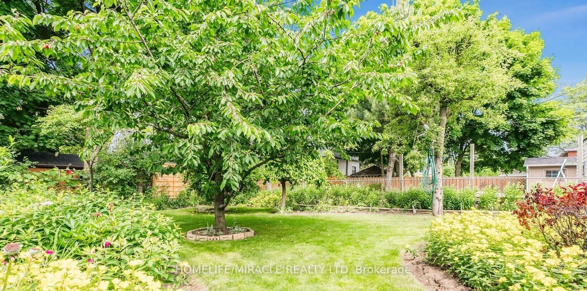 978 Pharmacy Avenue, #Main