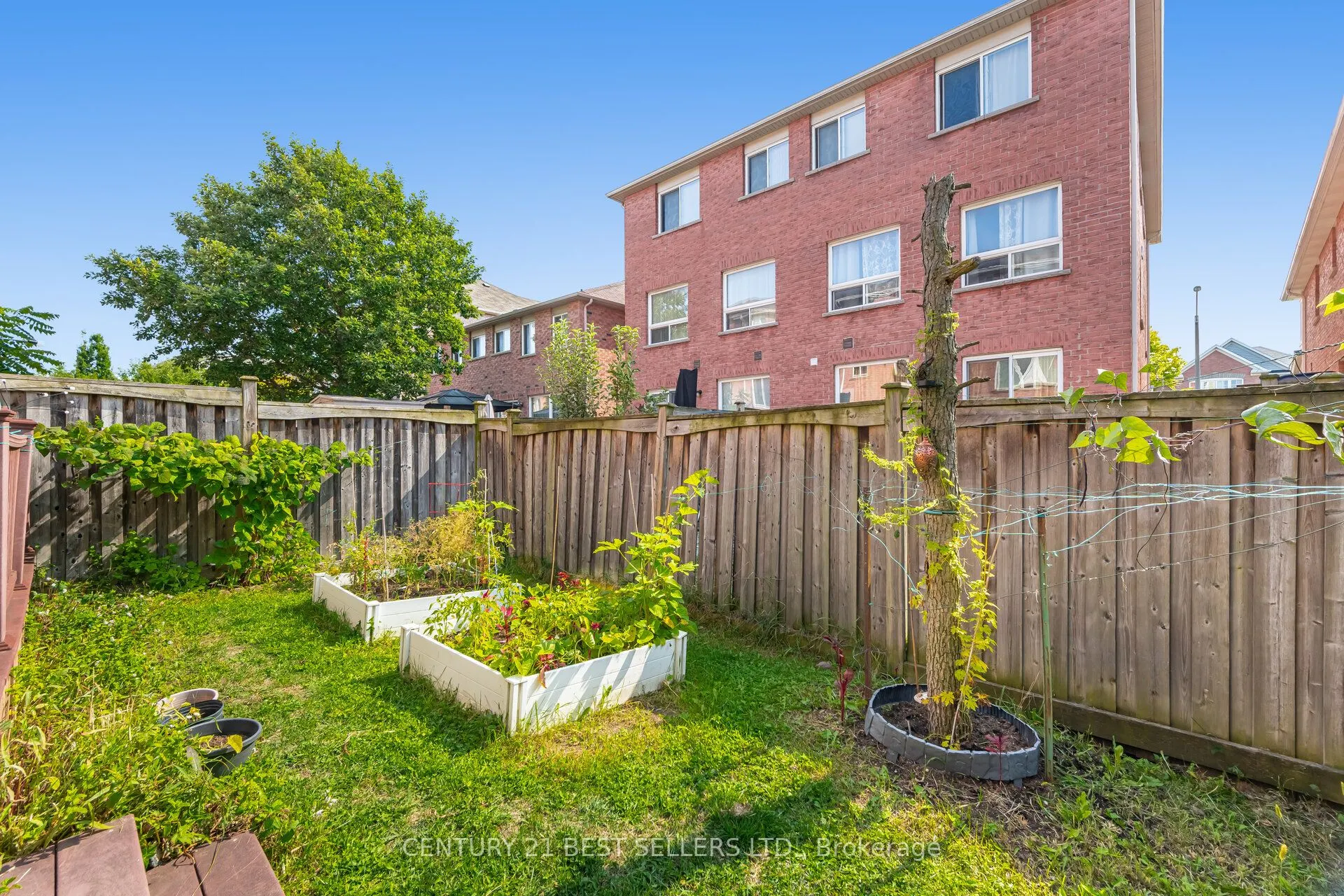 82 Pilkington Drive