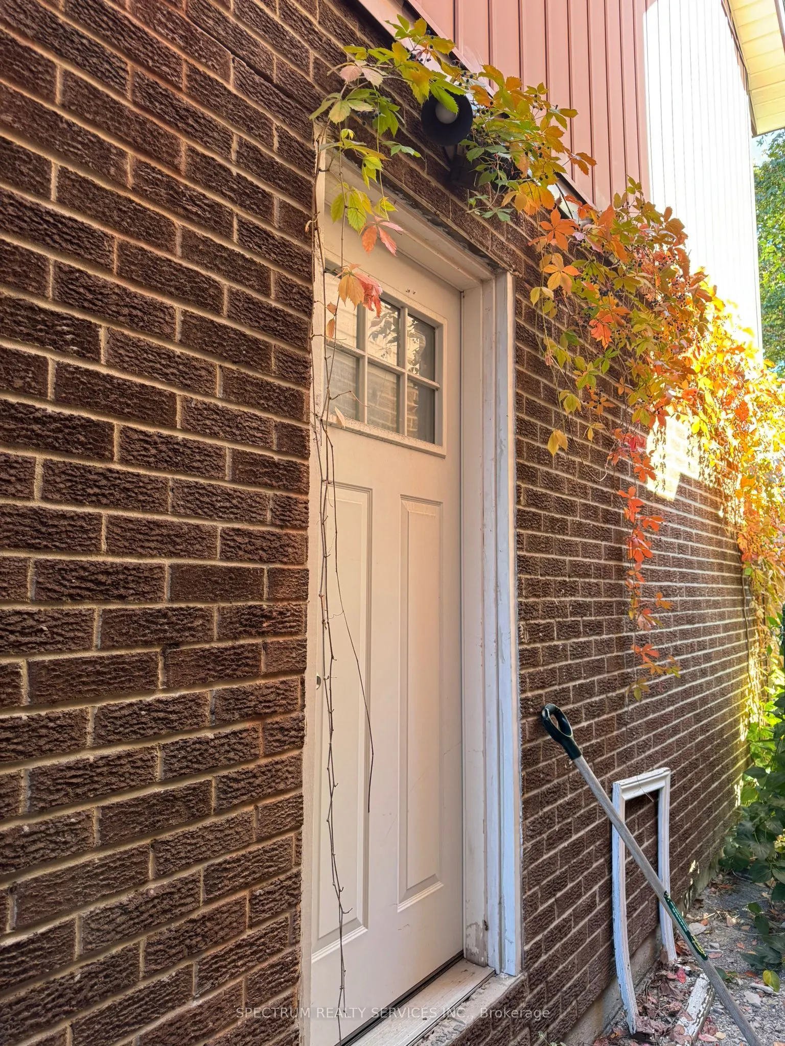 43 Mammoth Hall Trail