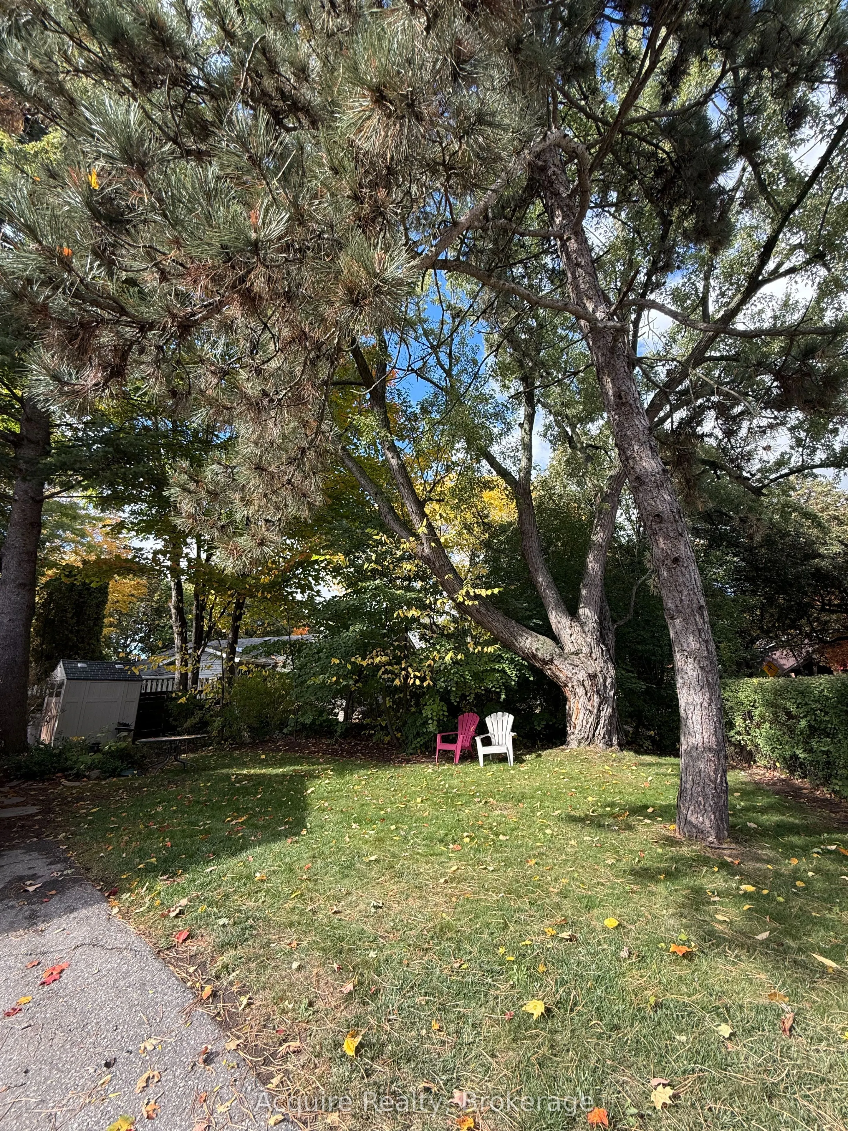 256 Birkdale Road