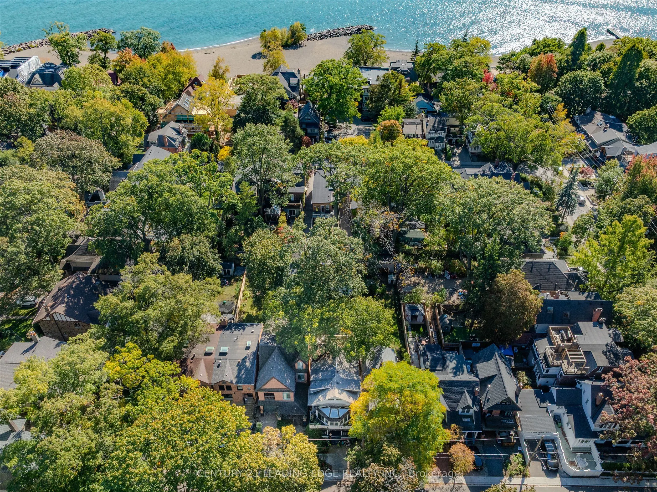 9 Balmy Avenue