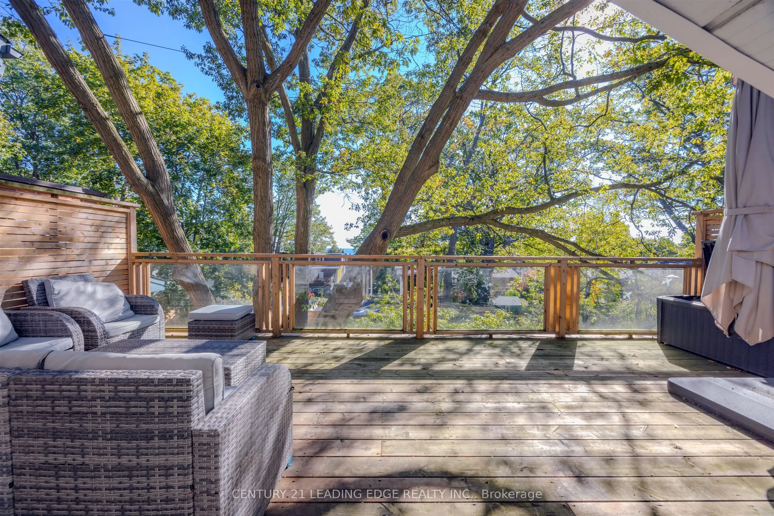 9 Balmy Avenue