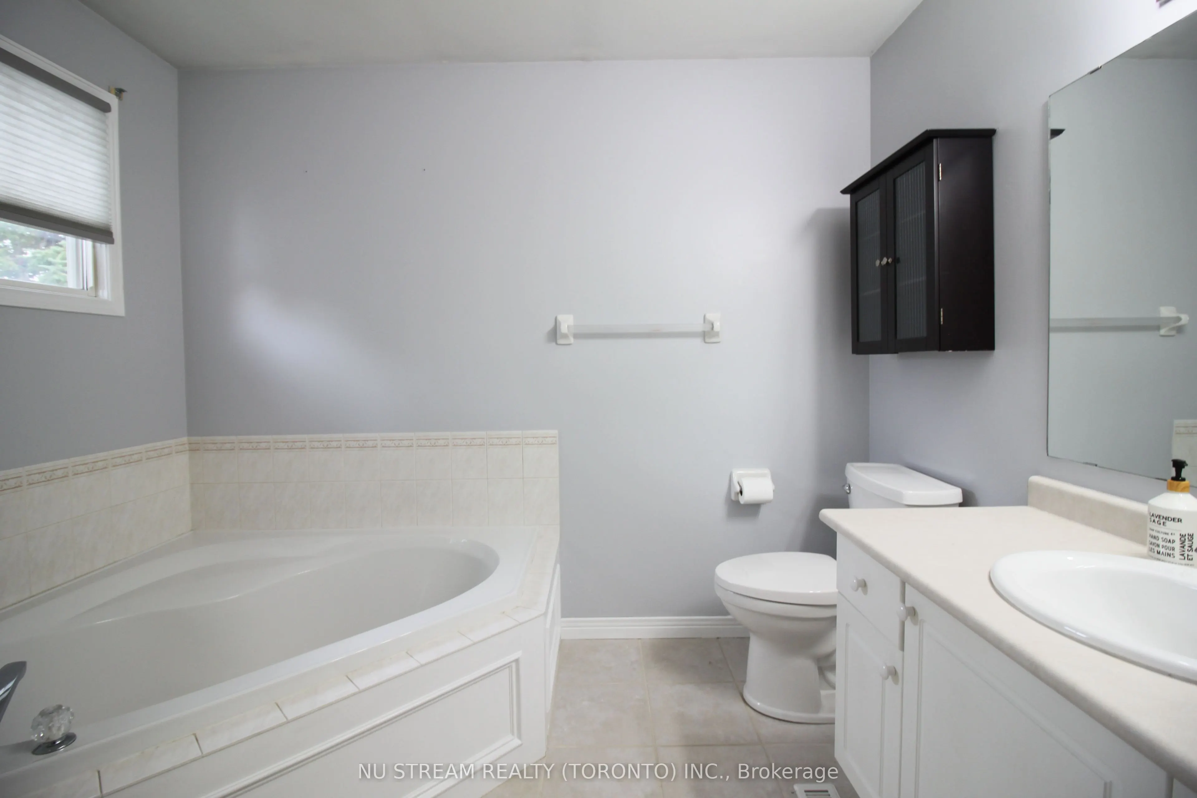217 Conestoga Court