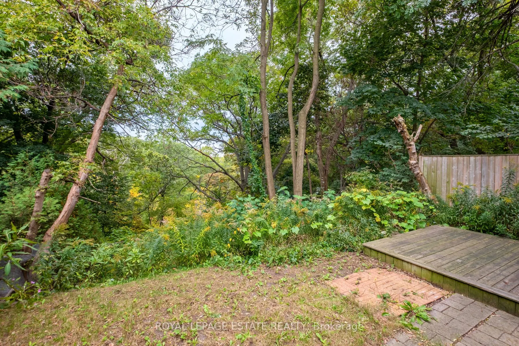 767 Kingston Road, #Bsmt