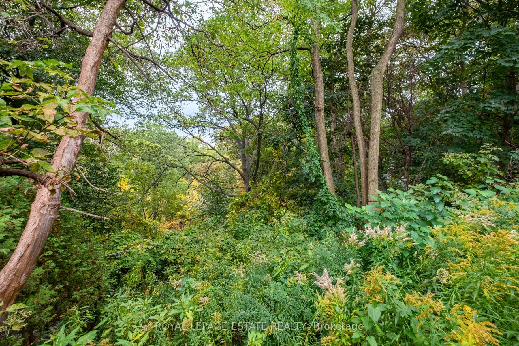 767 Kingston Road, #Bsmt