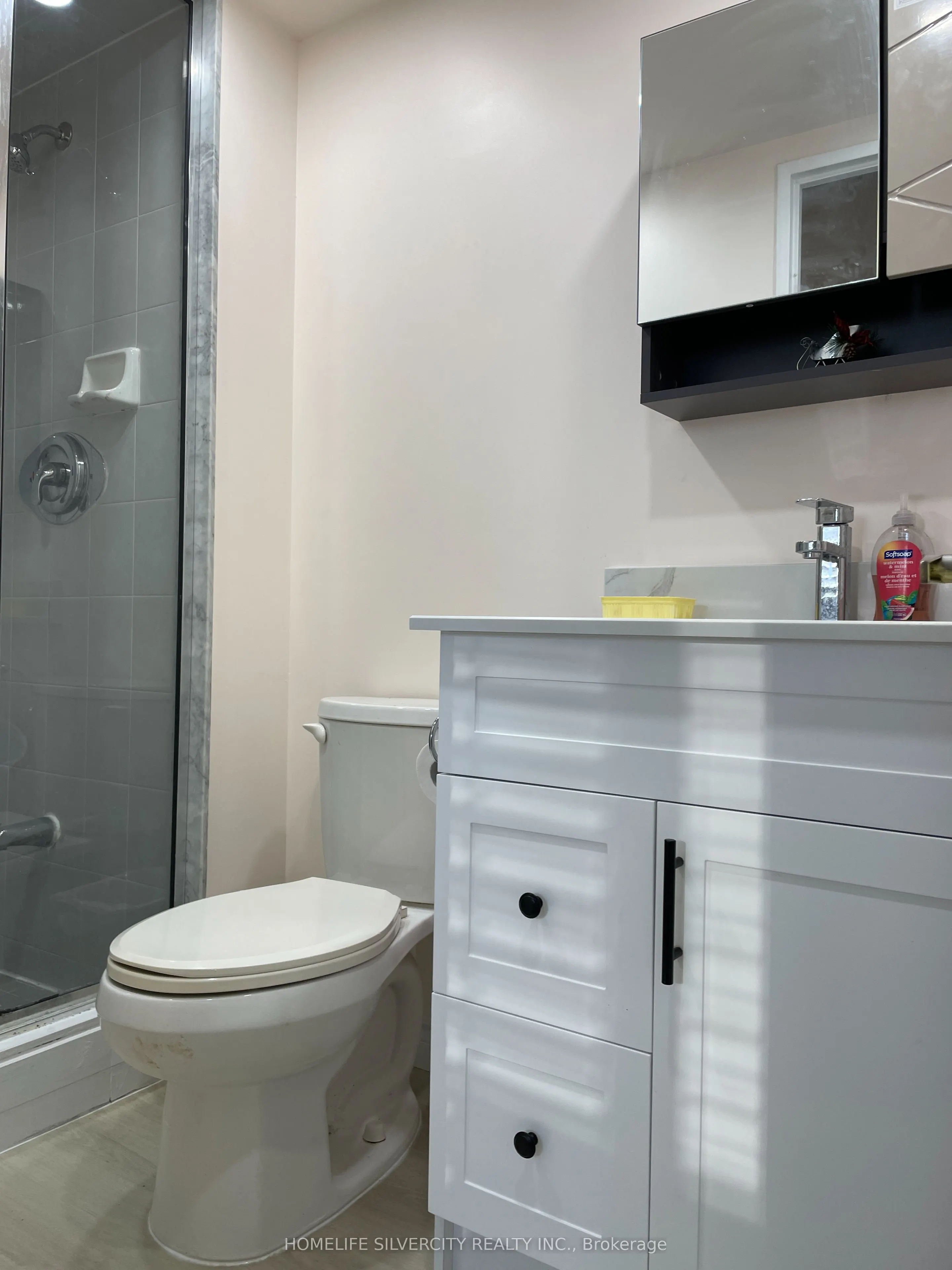 88 Corporate Drive, #1617