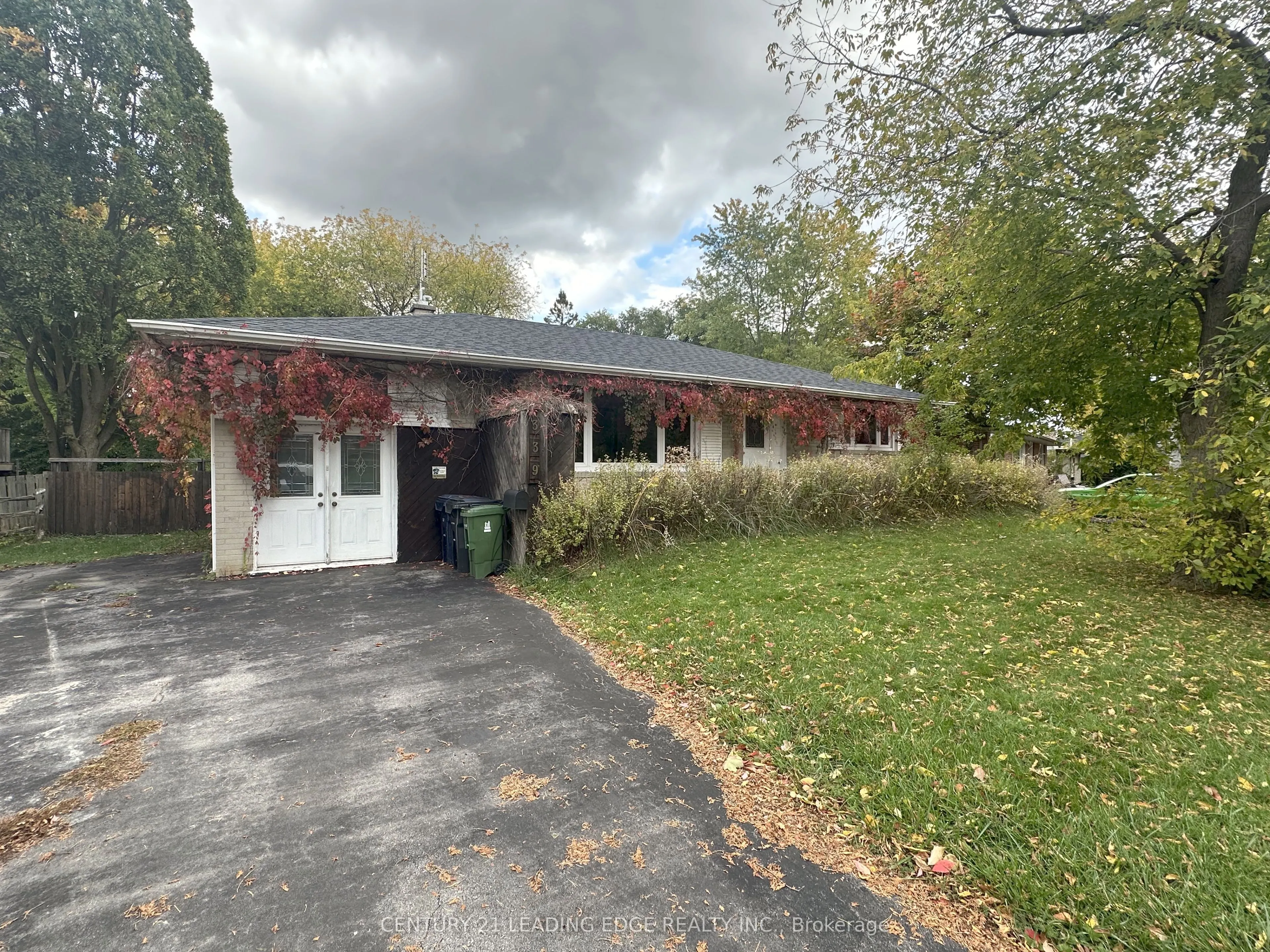 339 Jaybell Grove Grove
