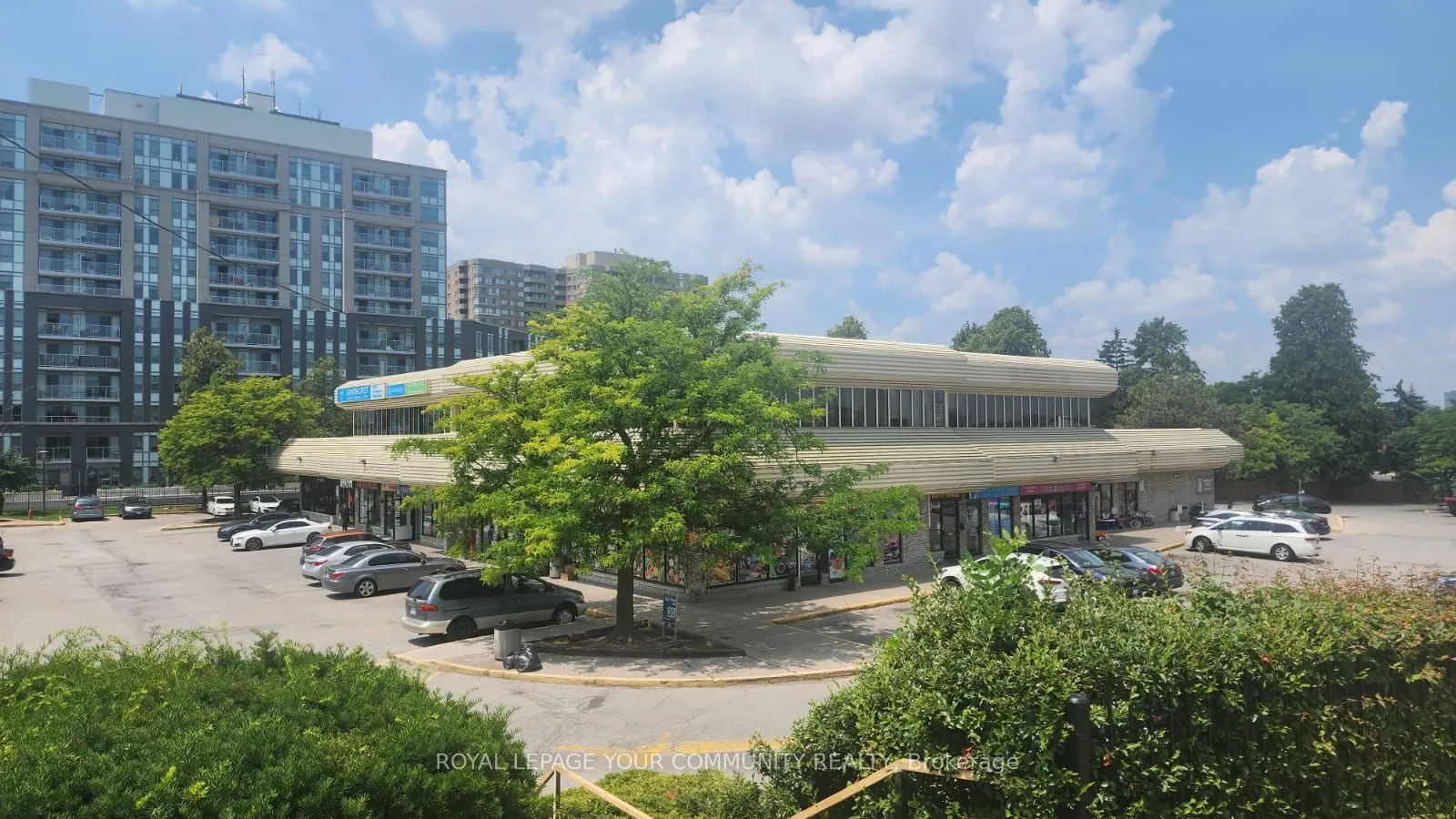 1001 Sandhurst Circle, #206
