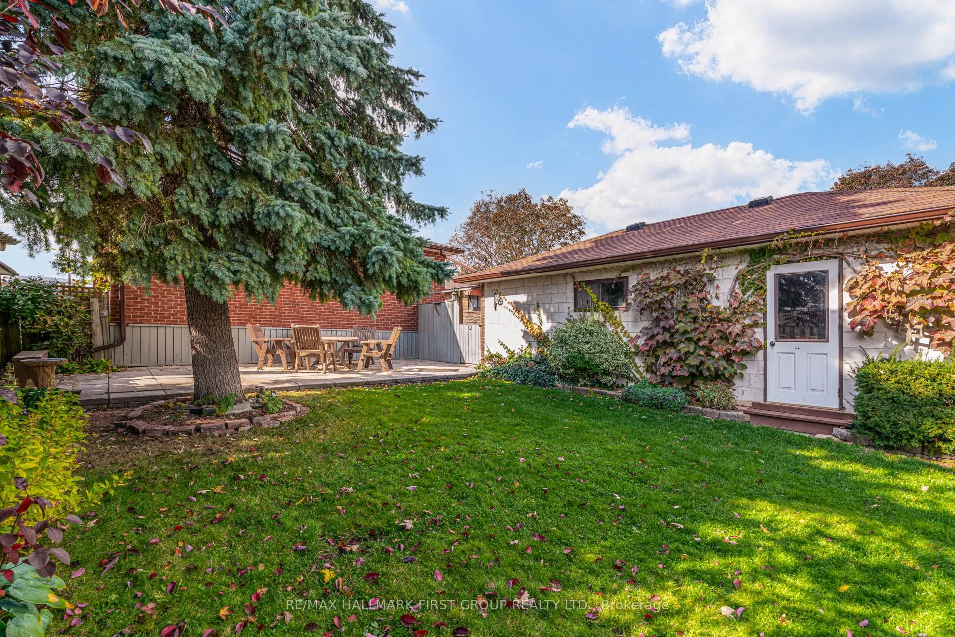 215 Guelph Street