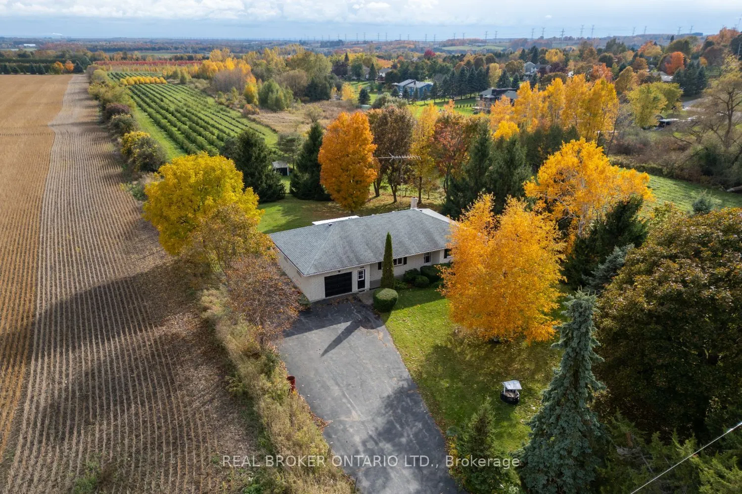 2295 Regional Road 3
