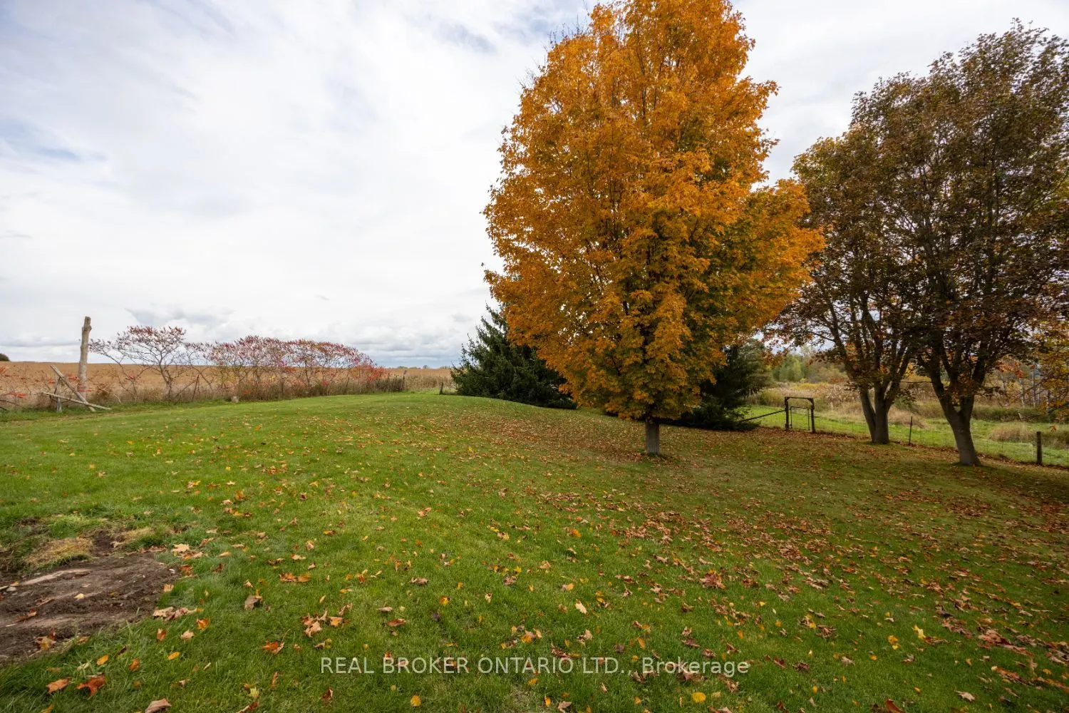 2295 Regional Road 3