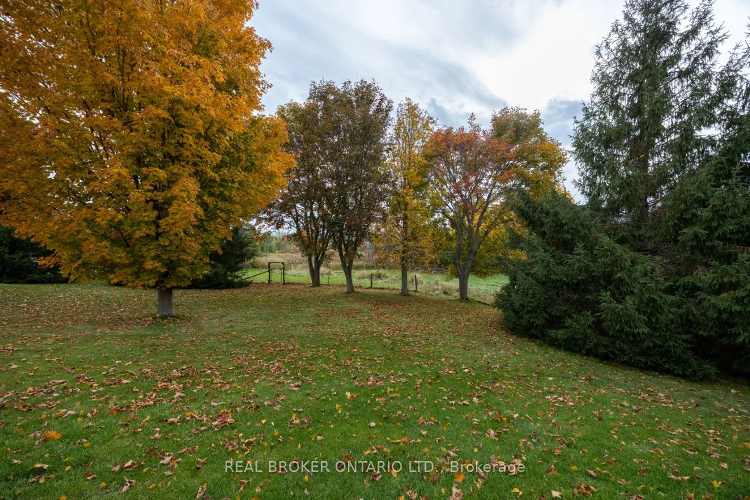 2295 Regional Road 3
