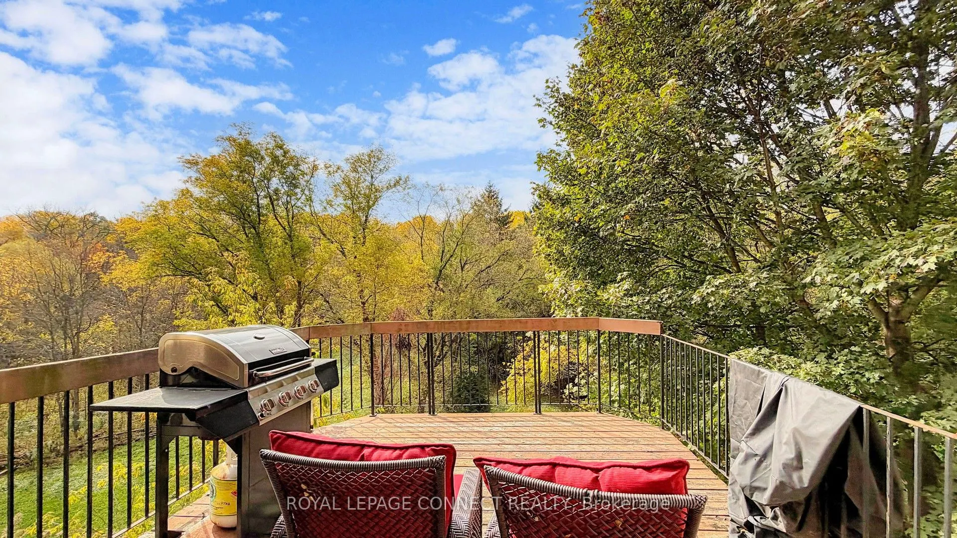 1406 Old Forest Road