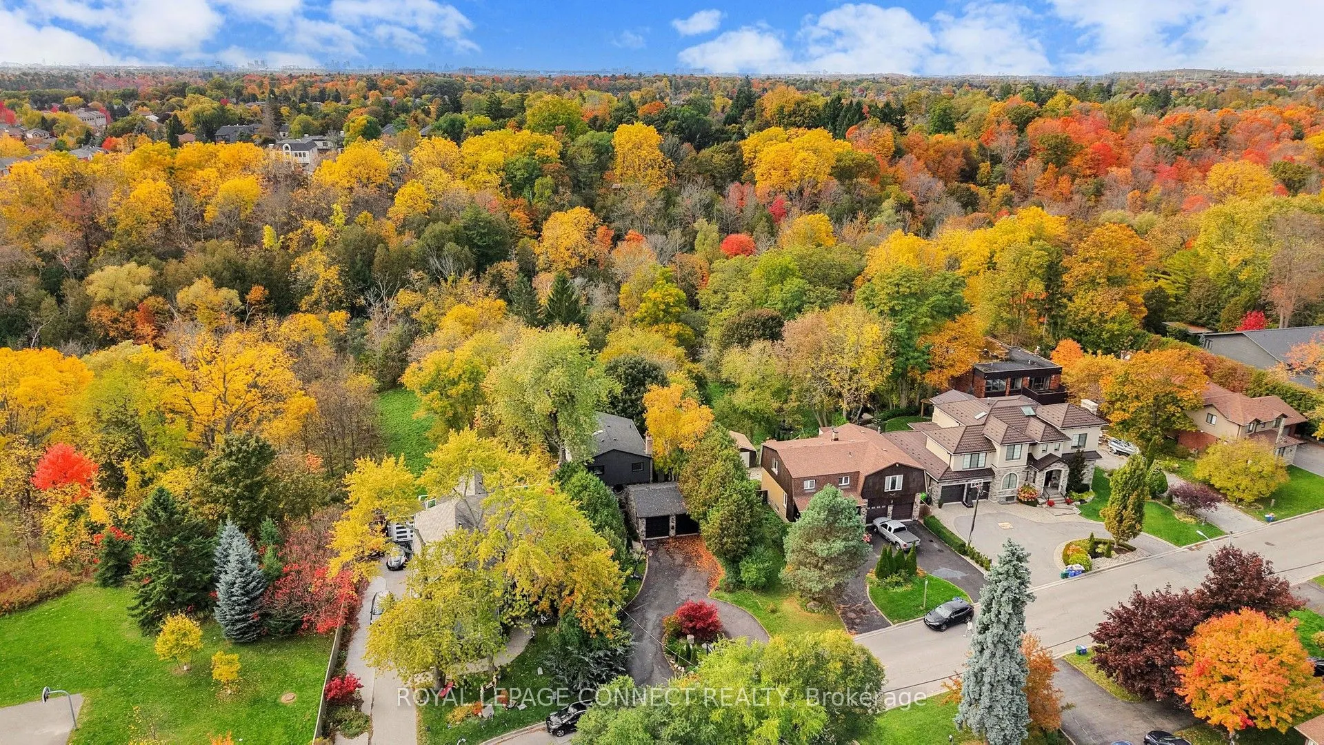1406 Old Forest Road