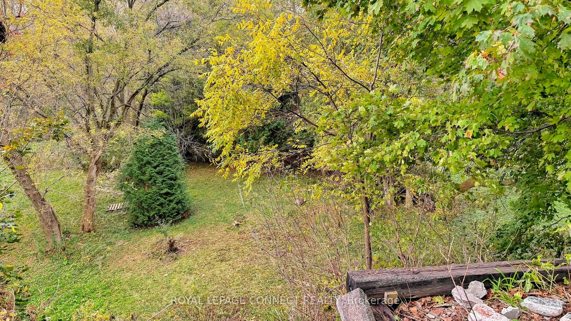 1406 Old Forest Road